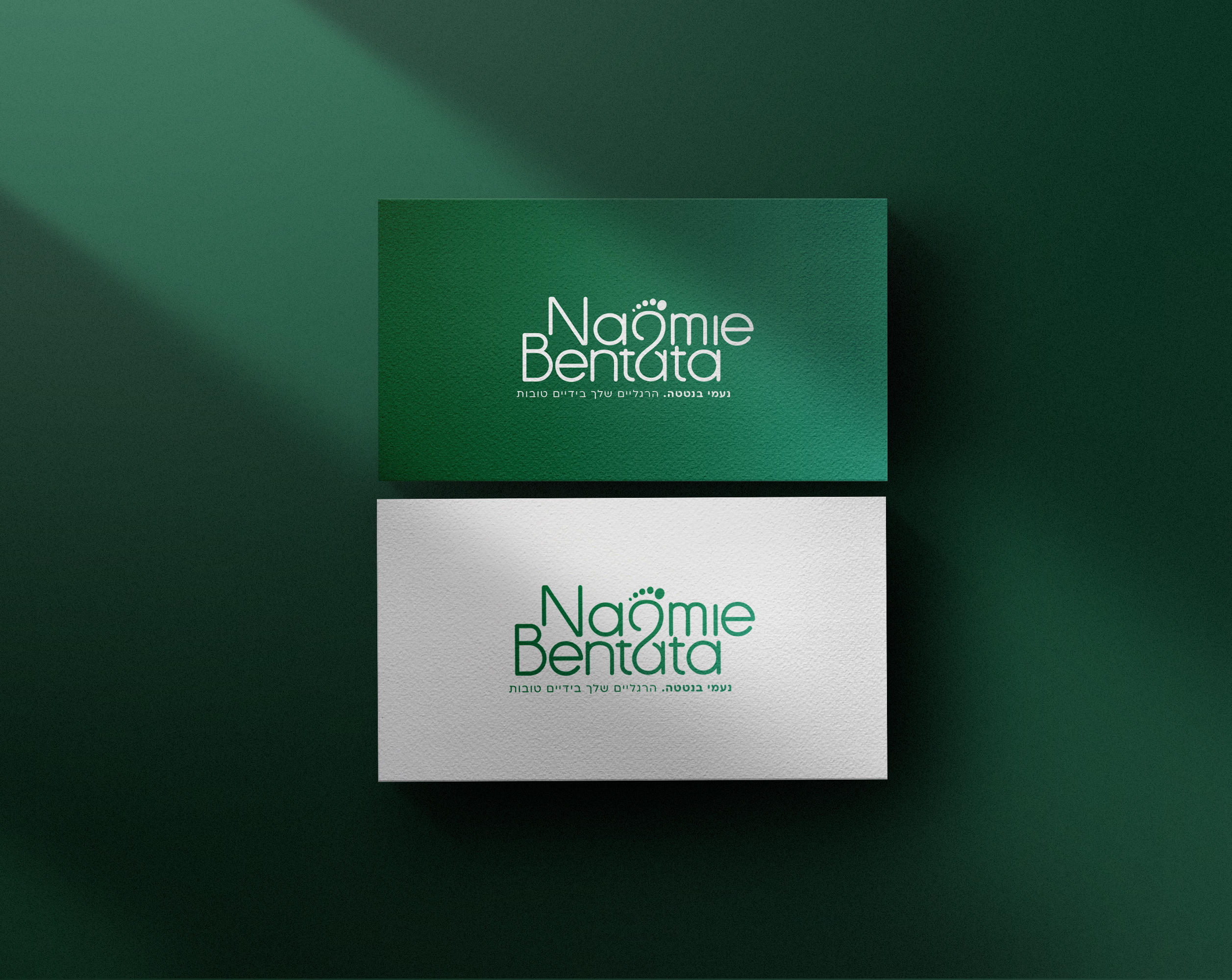 הדמיה לוגו נבחר נעמי בנטטה דו צדדי.jpg
