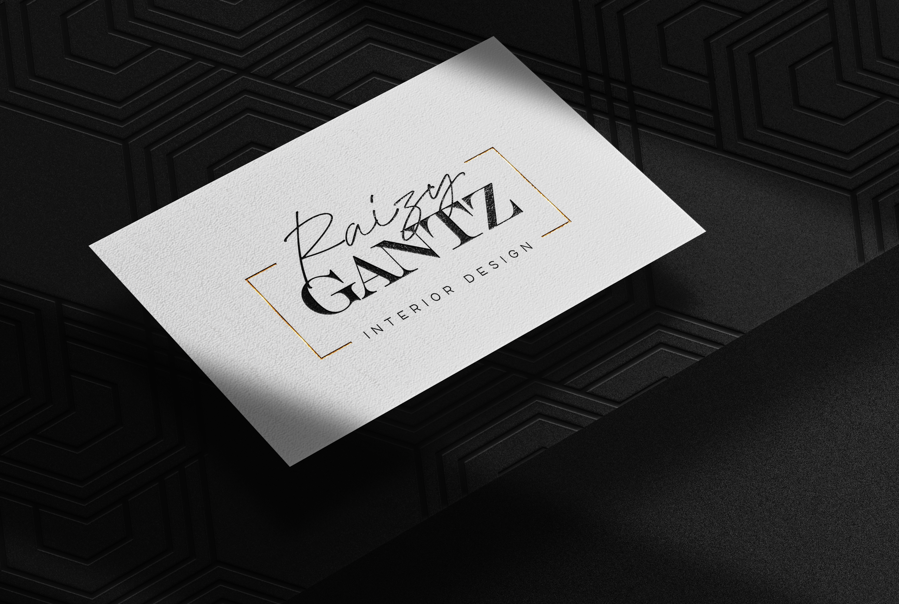 הדמיה לוגו 2 רייזי גנץ.png