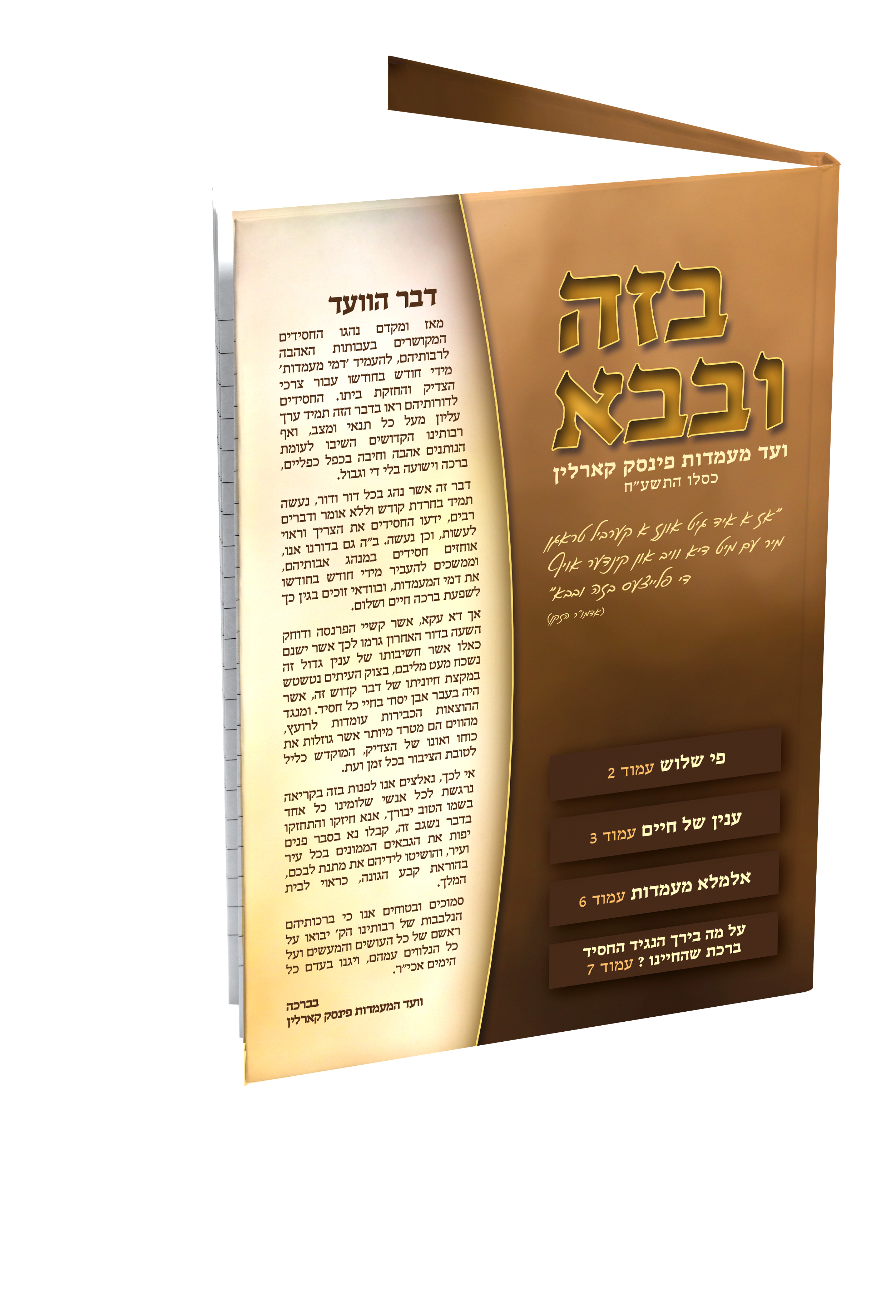 הדמיה לחוברת.jpg