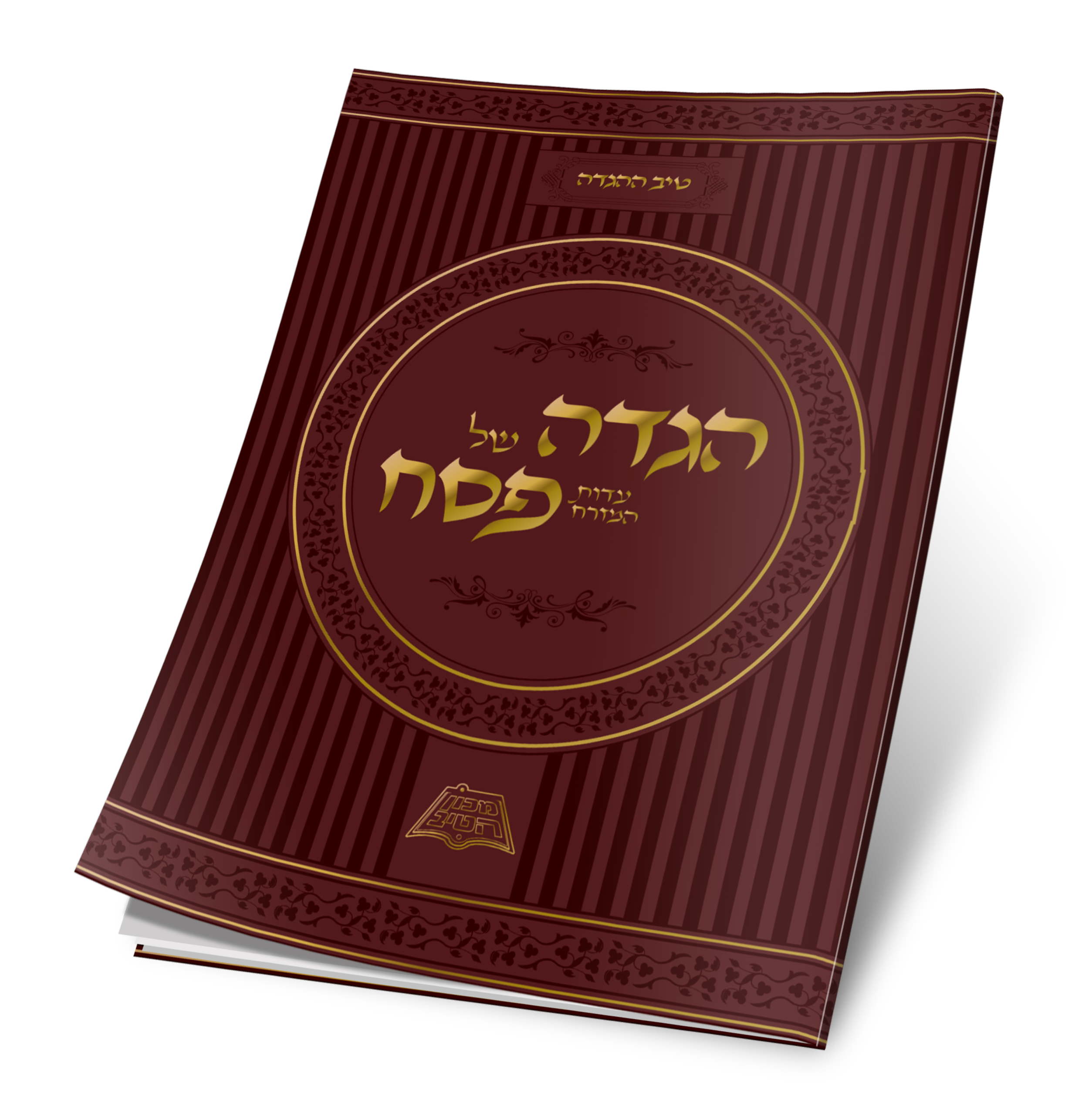 הדמיה לכריכה.png