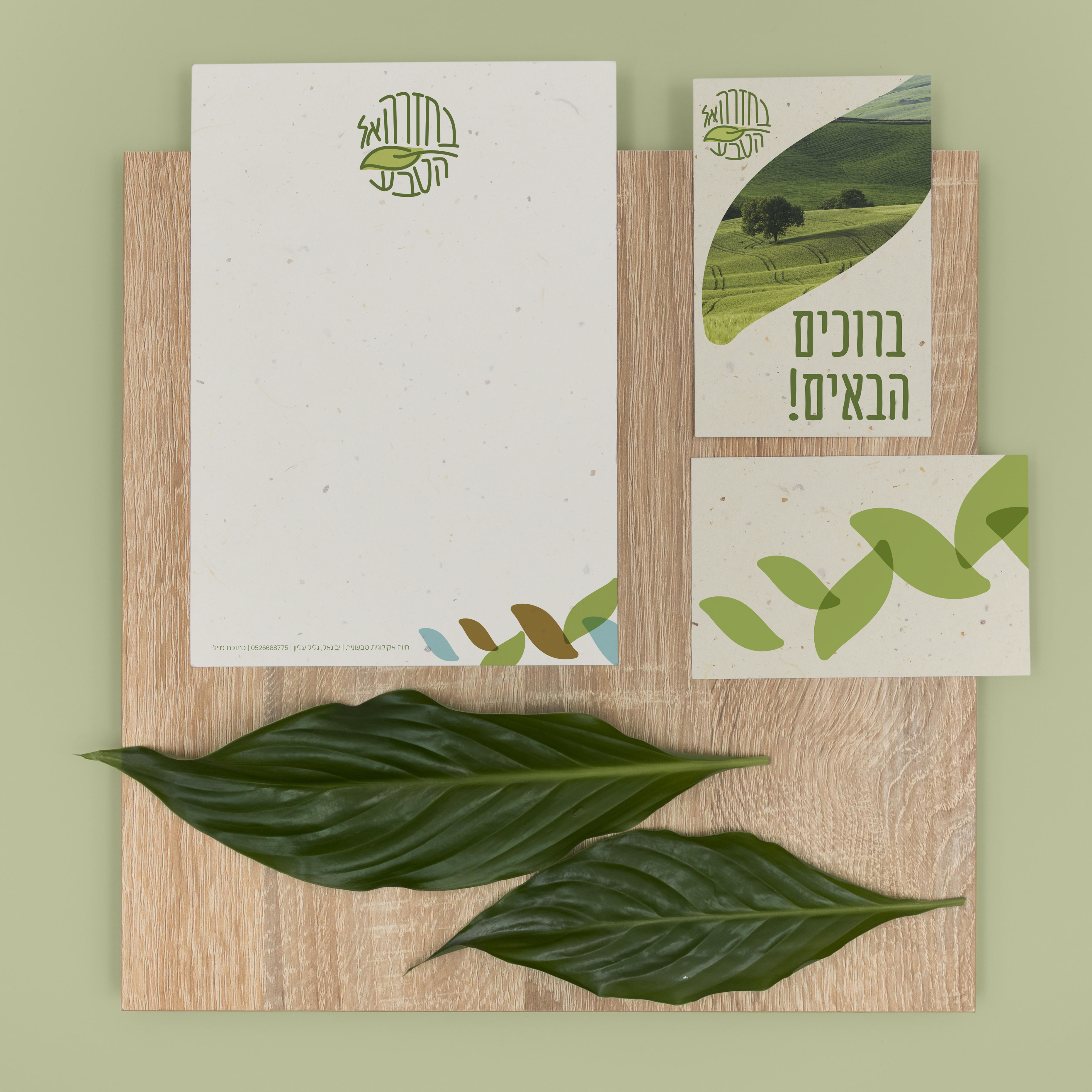 הדמיה למיתוג2.jpg