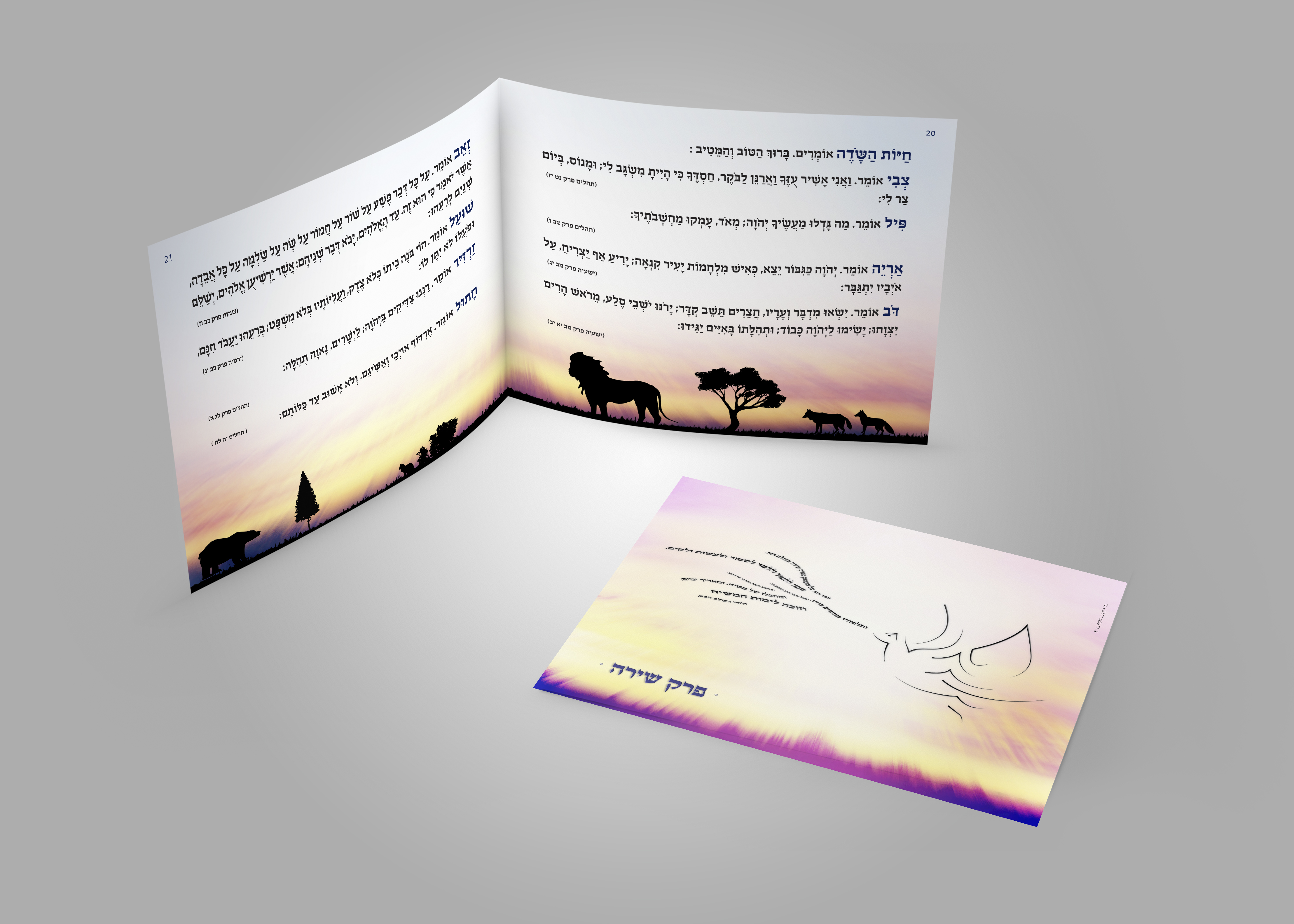 הדמיה לפרק שירה.jpg