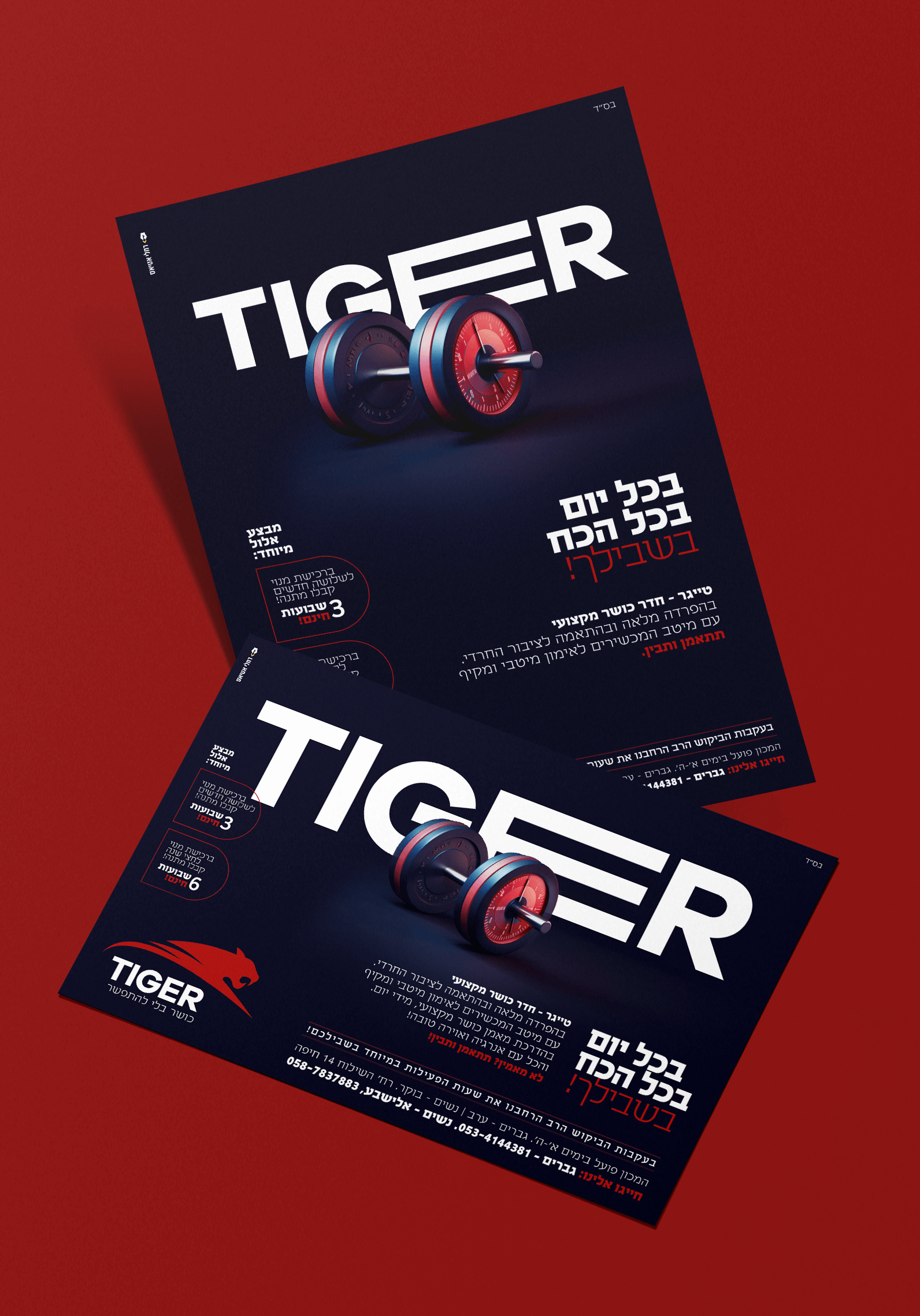 הדמיה מודעות (1).png