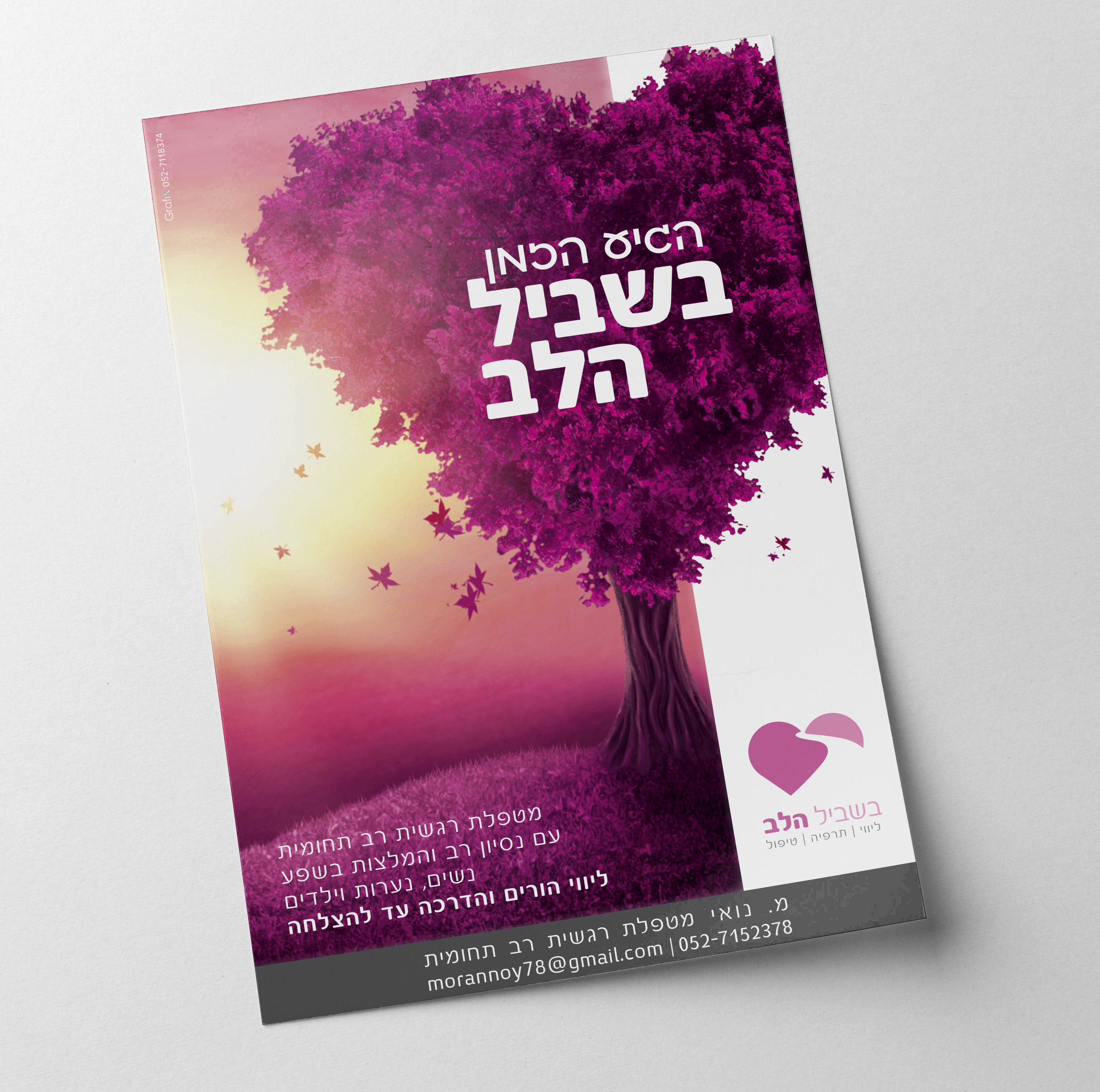 הדמיה מורן נואי.jpg