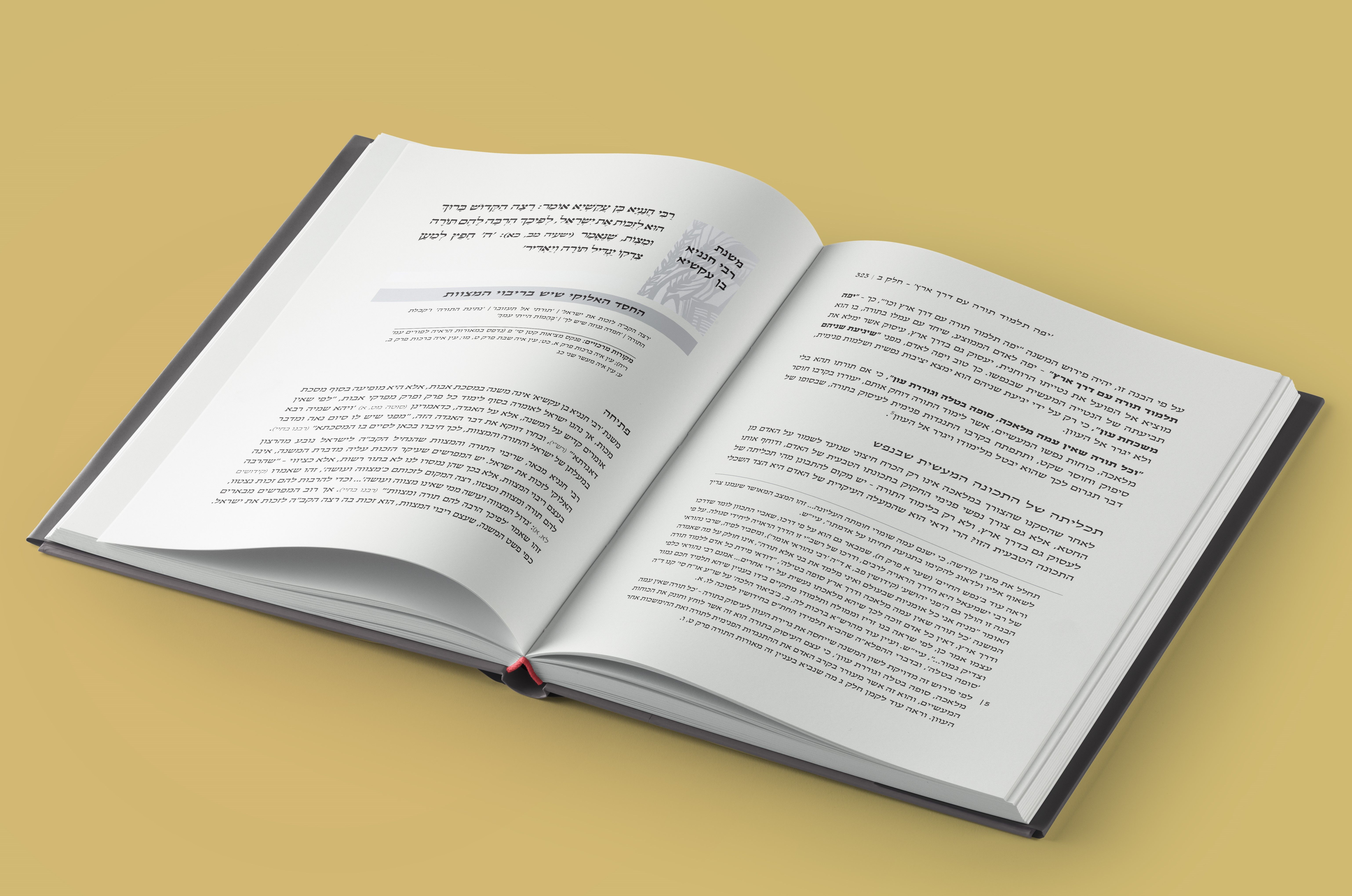 הדמיה-נלכה עד הרואה2.jpg