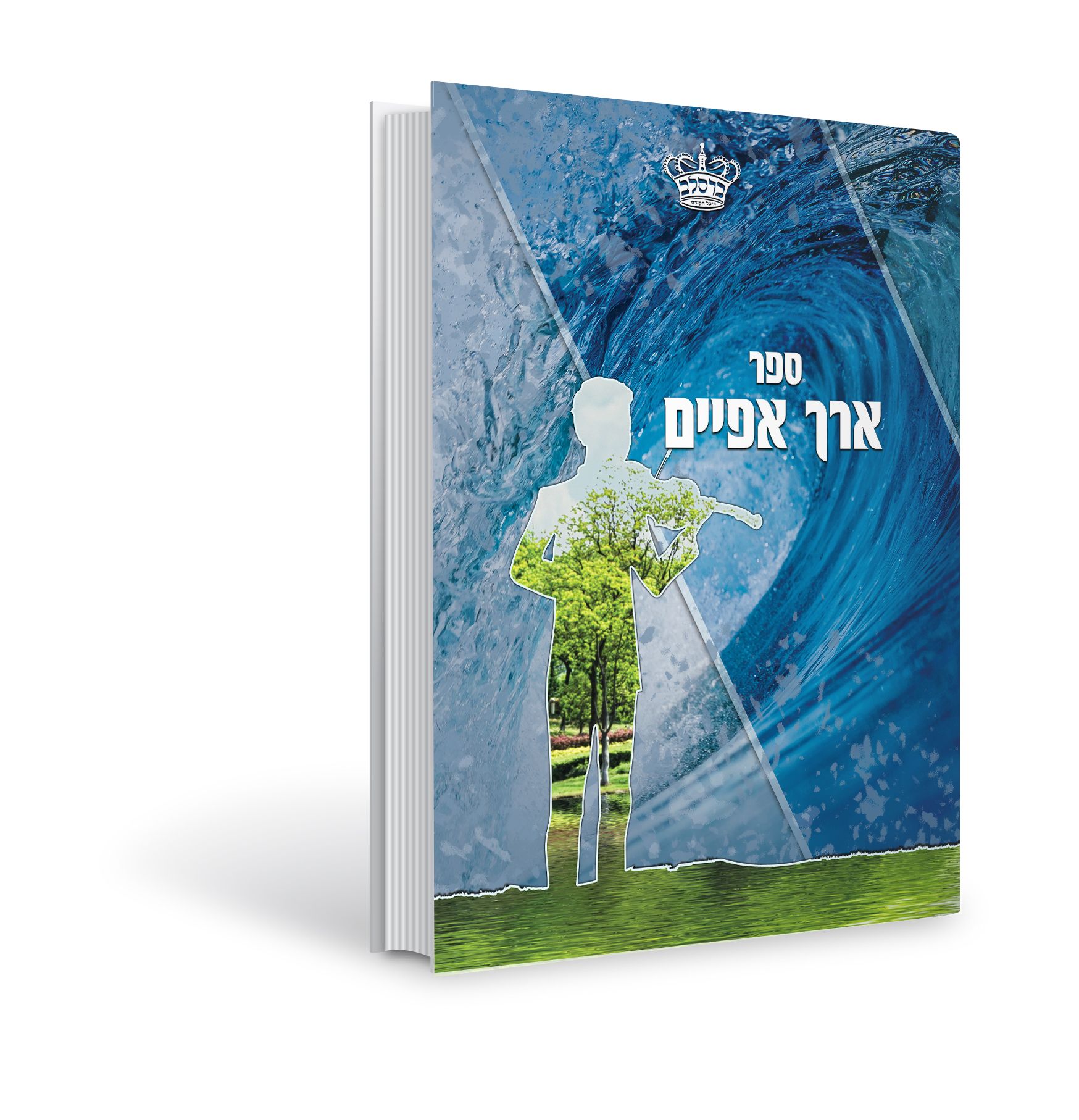 הדמיה ספר ארך אפיים.jpg