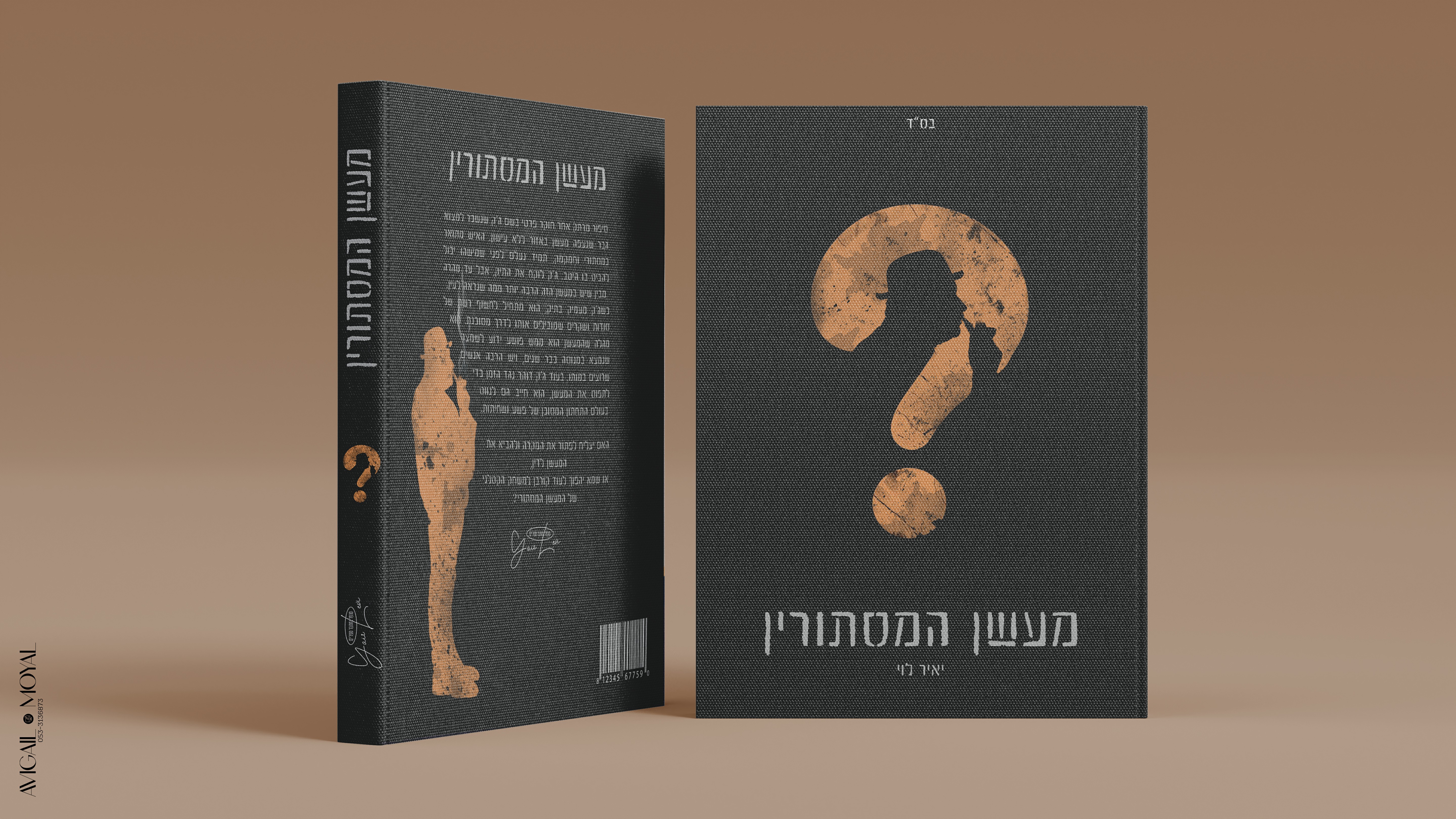 הדמיה ספר~2.jpg