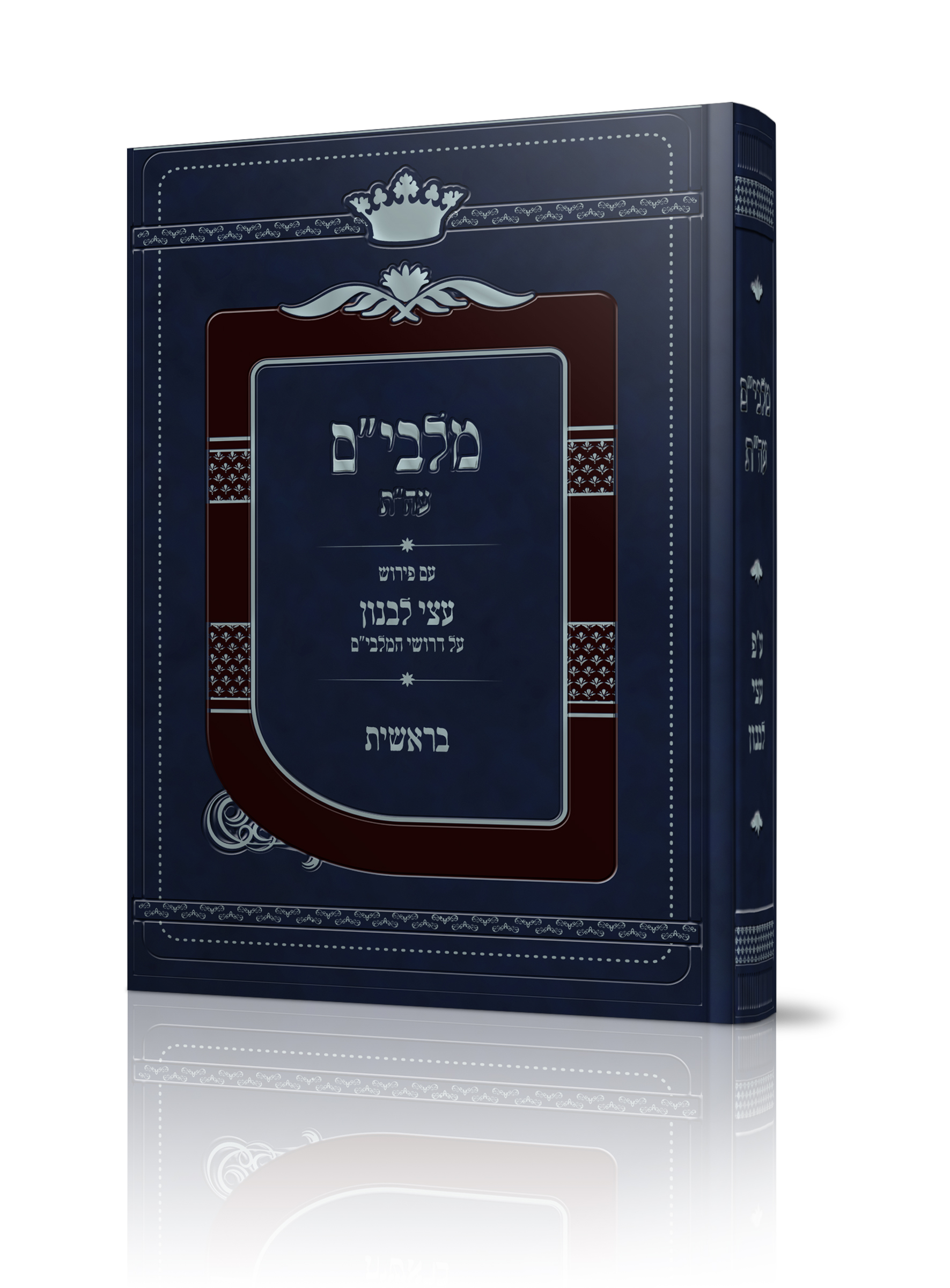 הדמיה ספר.jpg