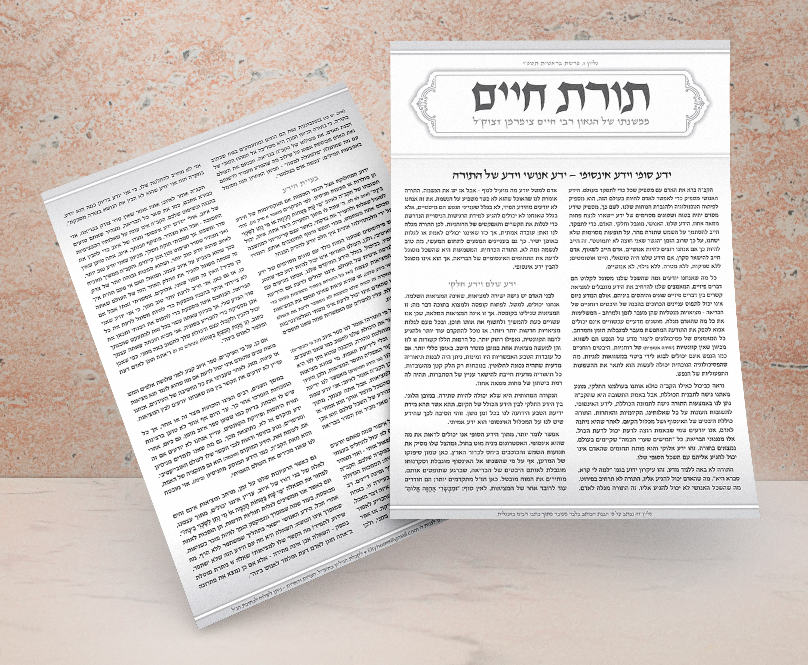 הדמיה עלון2.jpg