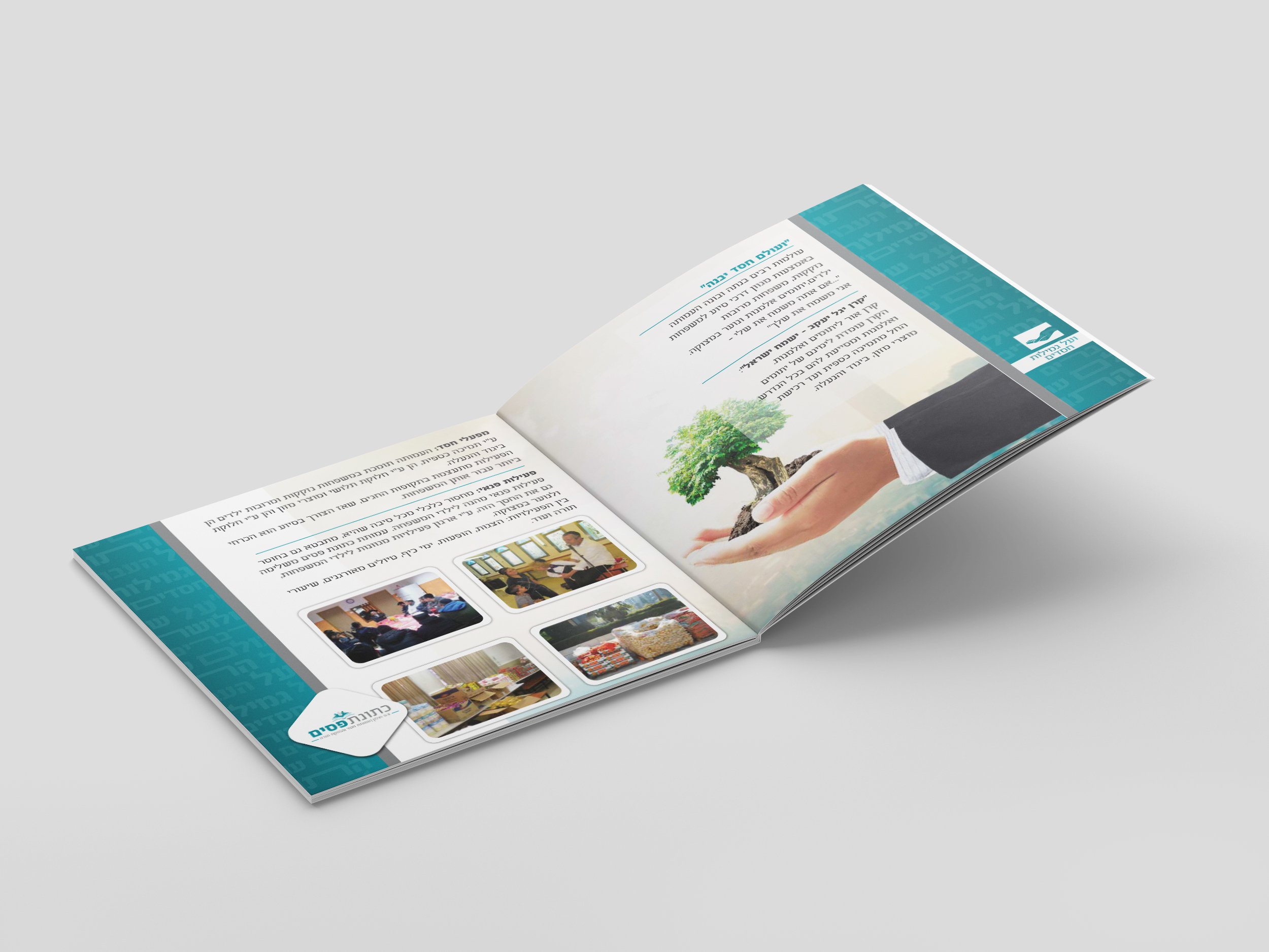 הדמיה על גמילות חסדים.jpg