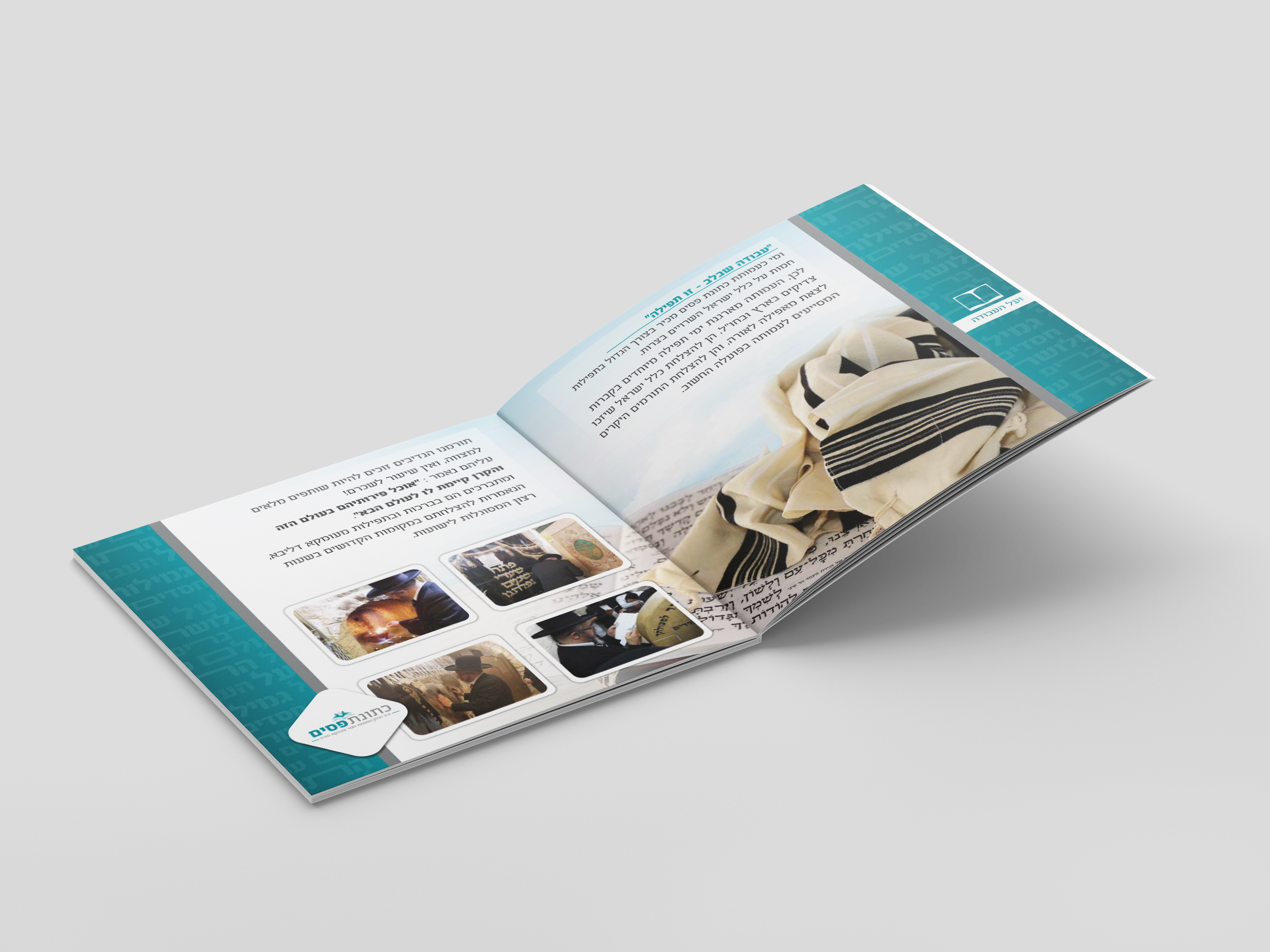 הדמיה על העבודה.jpg