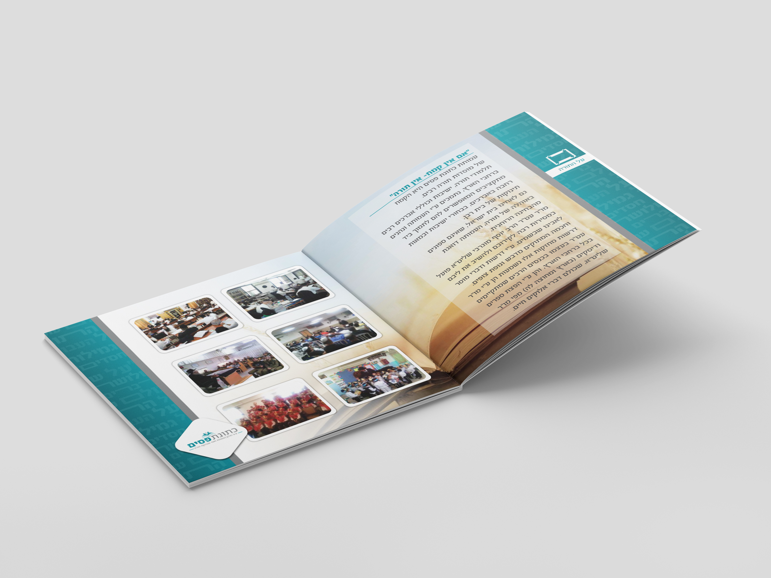 הדמיה על התורה.jpg