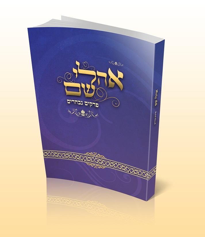 הדמיה עם רקע מוקטן.jpg