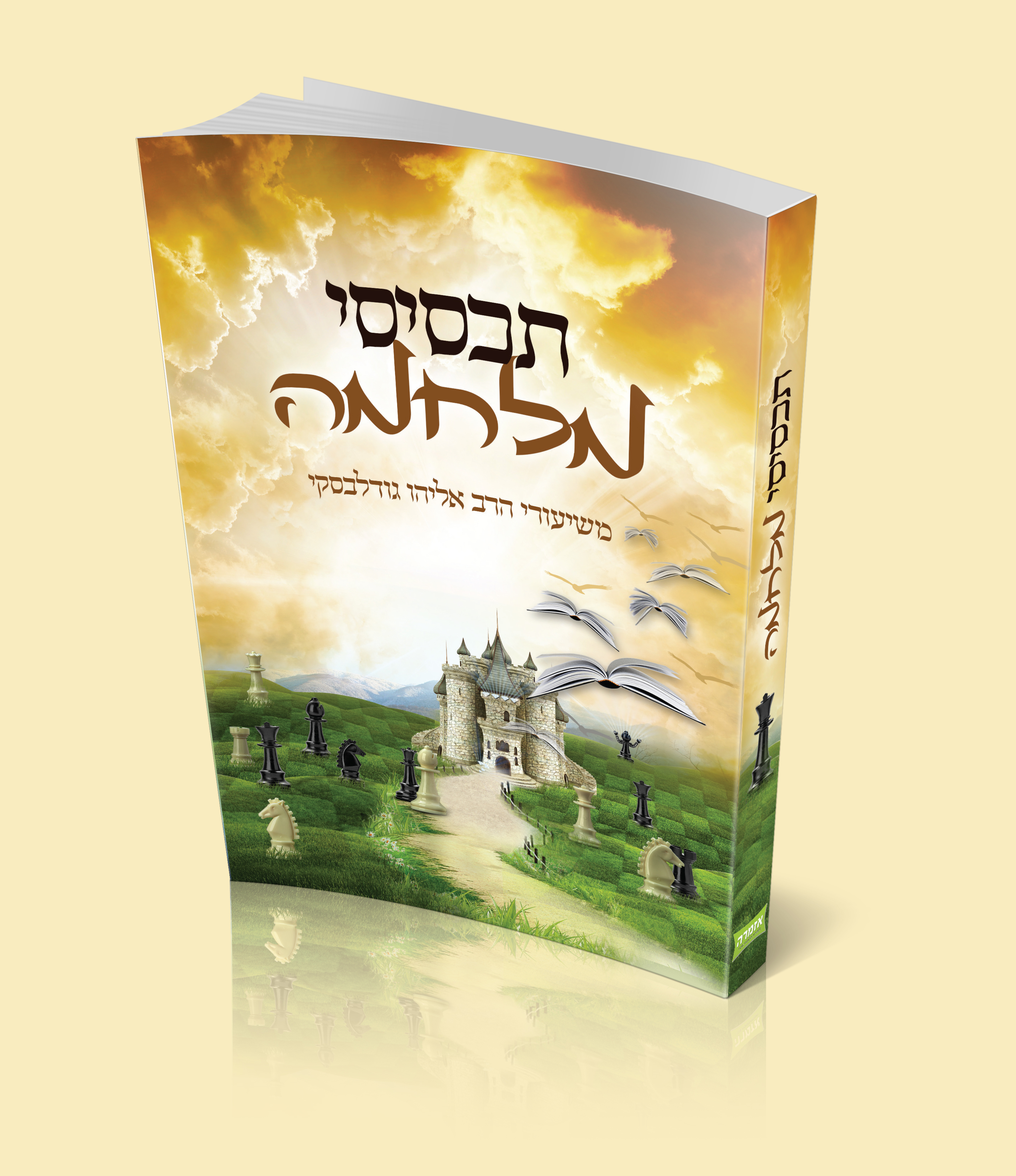 הדמיה עם רקע.jpg