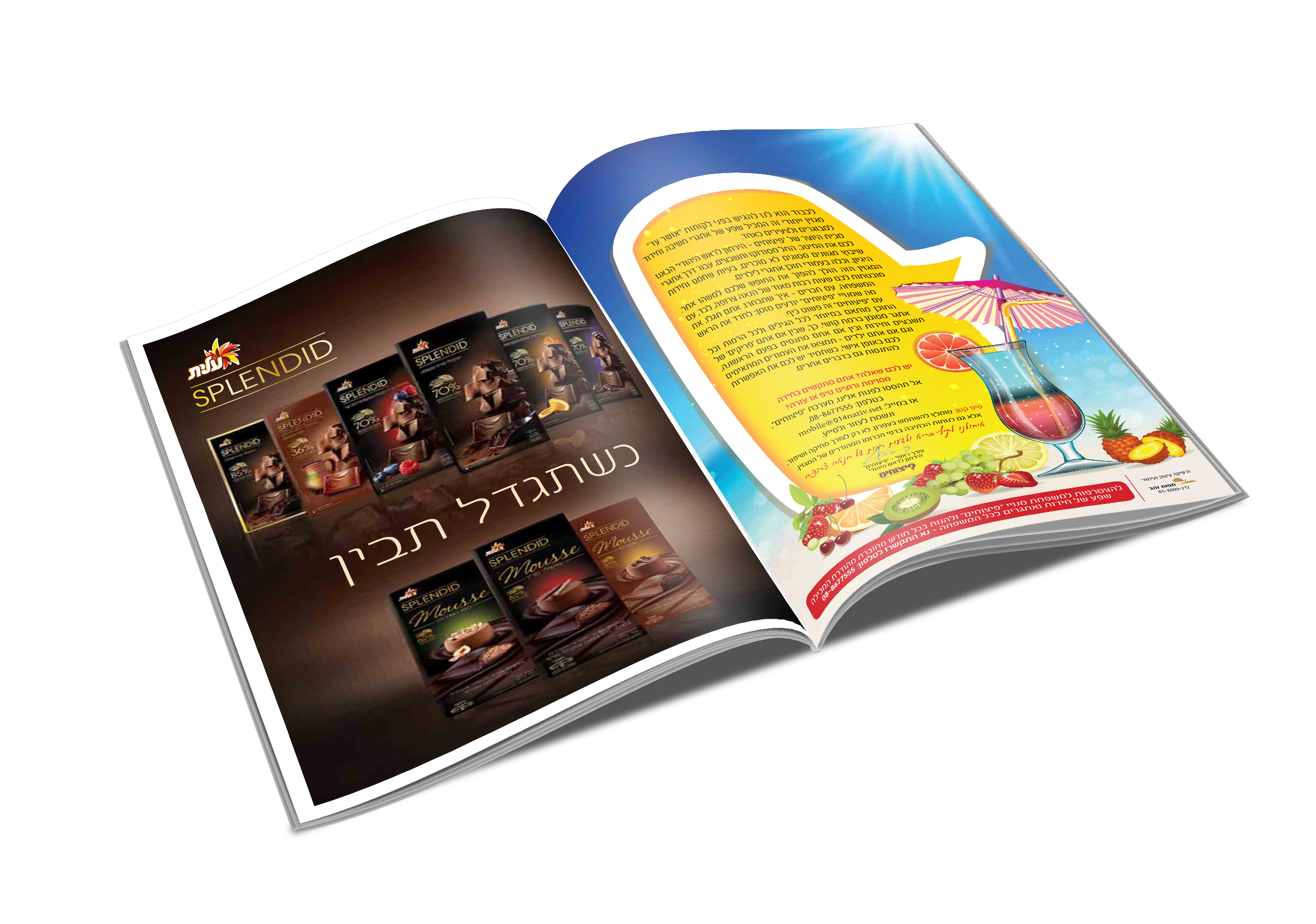 הדמיה עמ פנימיים 1.jpg