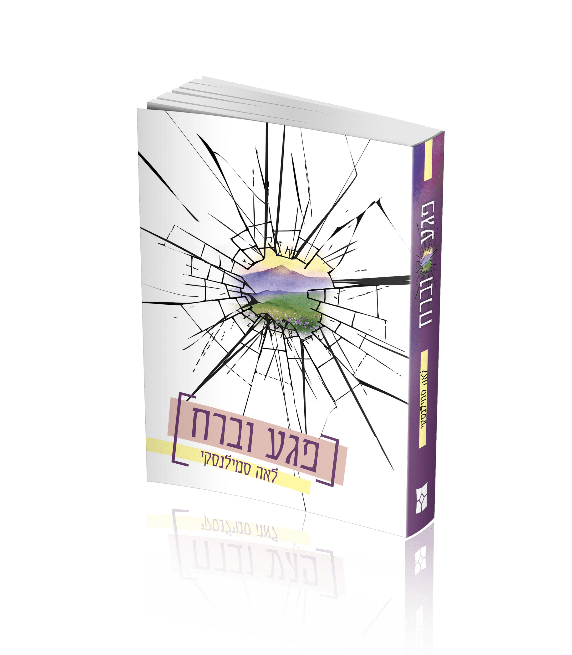 הדמיה פגע וברח (2).png