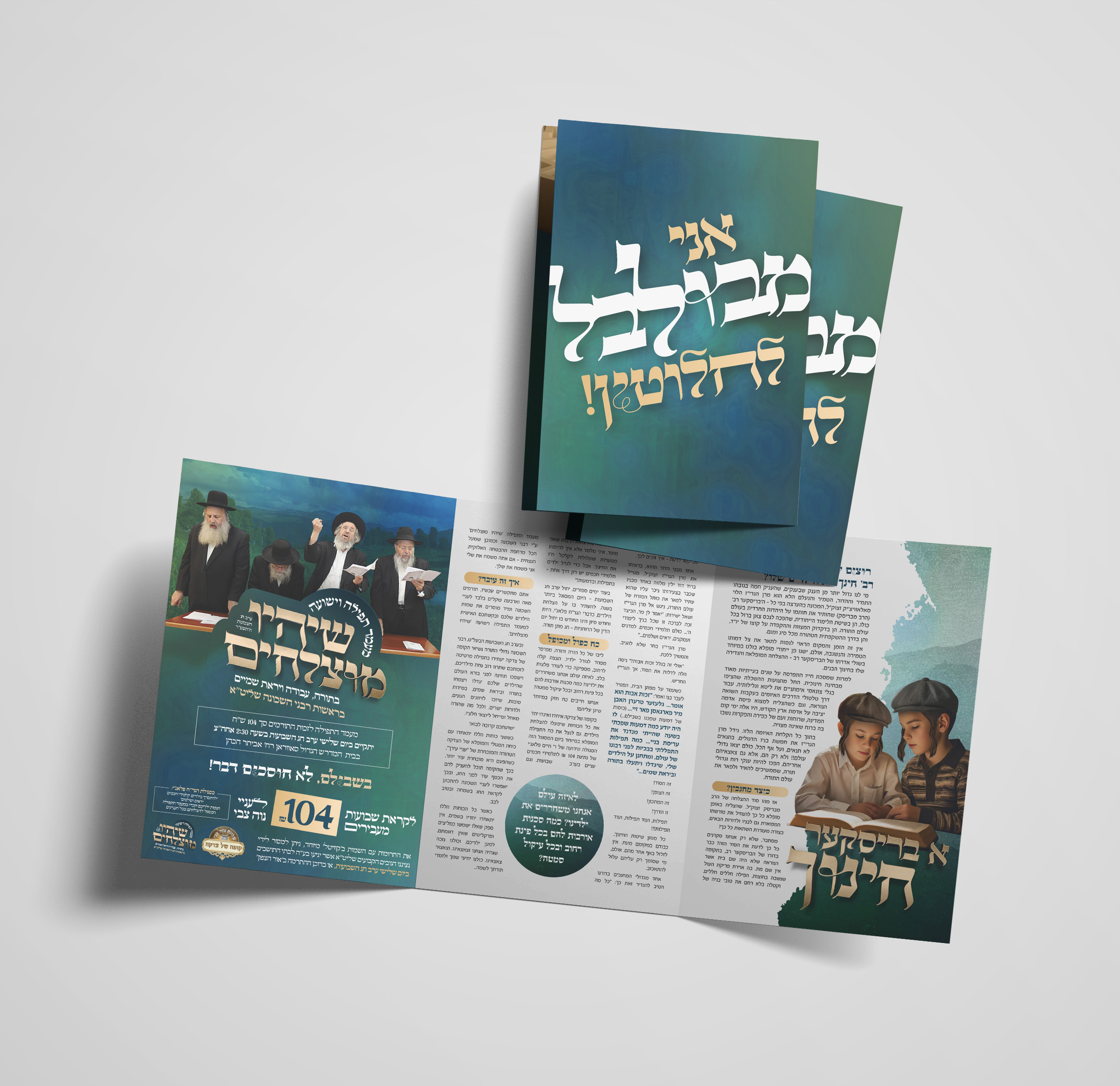 הדמיה פלייר.jpg