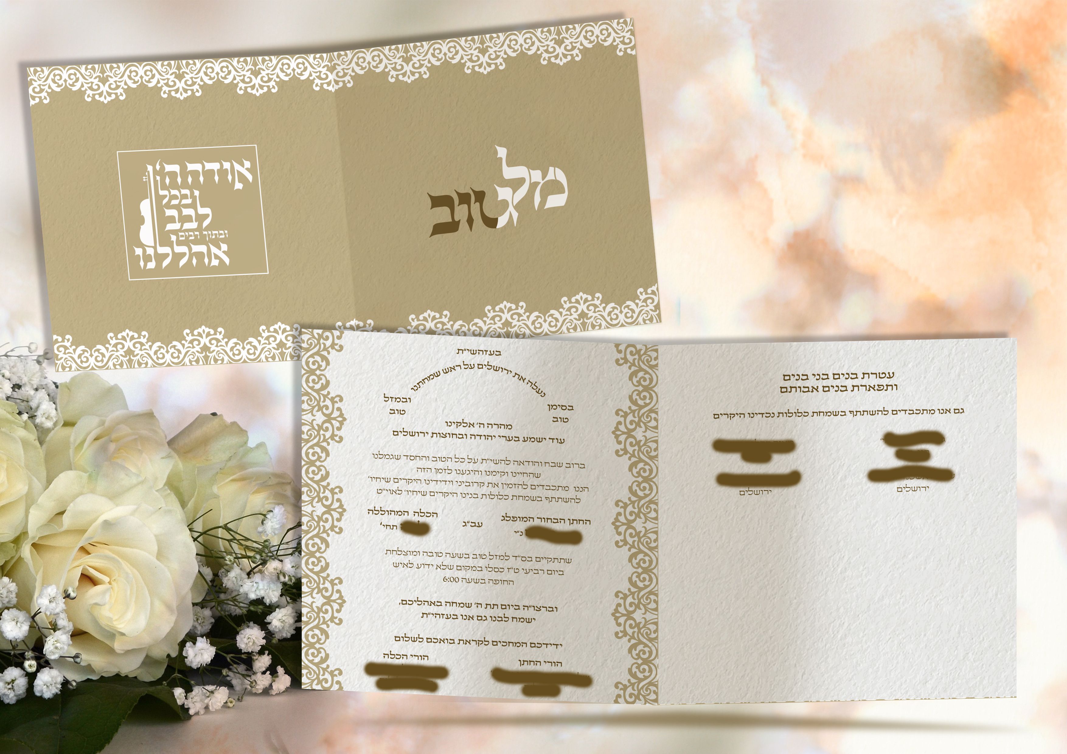 הדמיה פרוג.jpg