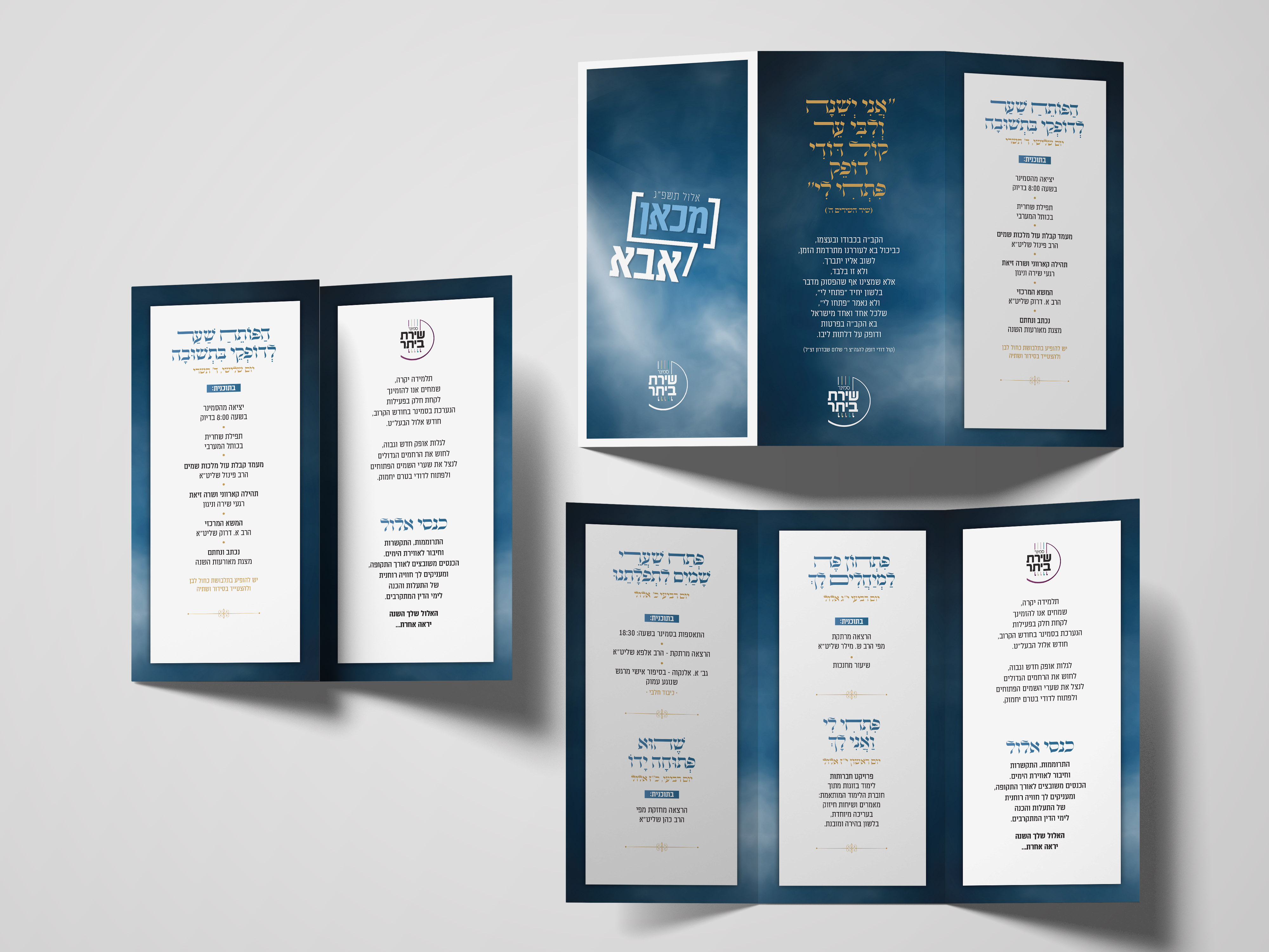 הדמיה פרוספקט אלול.jpg