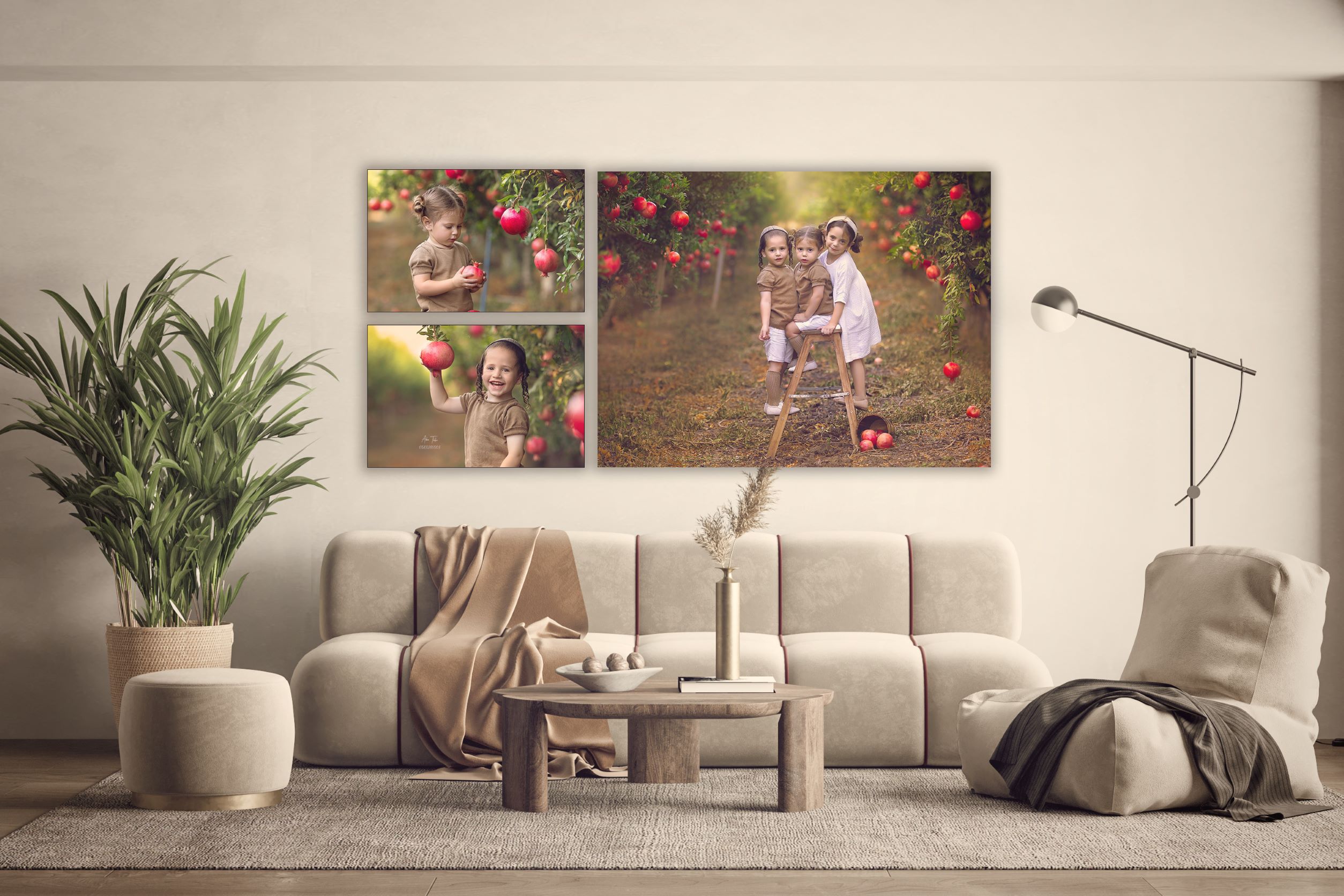 הדמיה רימונים עדינה טהלר.jpg