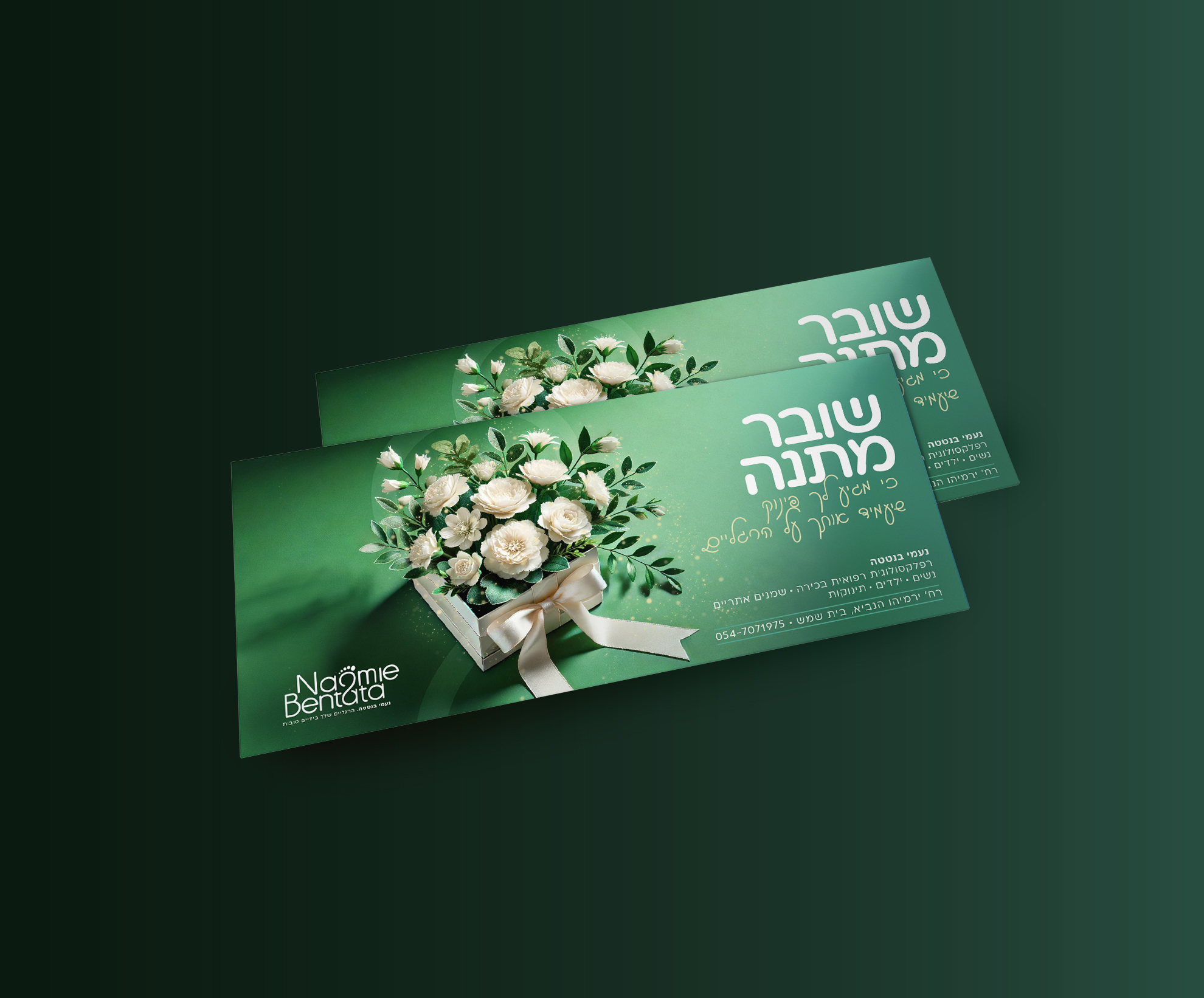 הדמיה שובר נעמי בנטטה.jpg