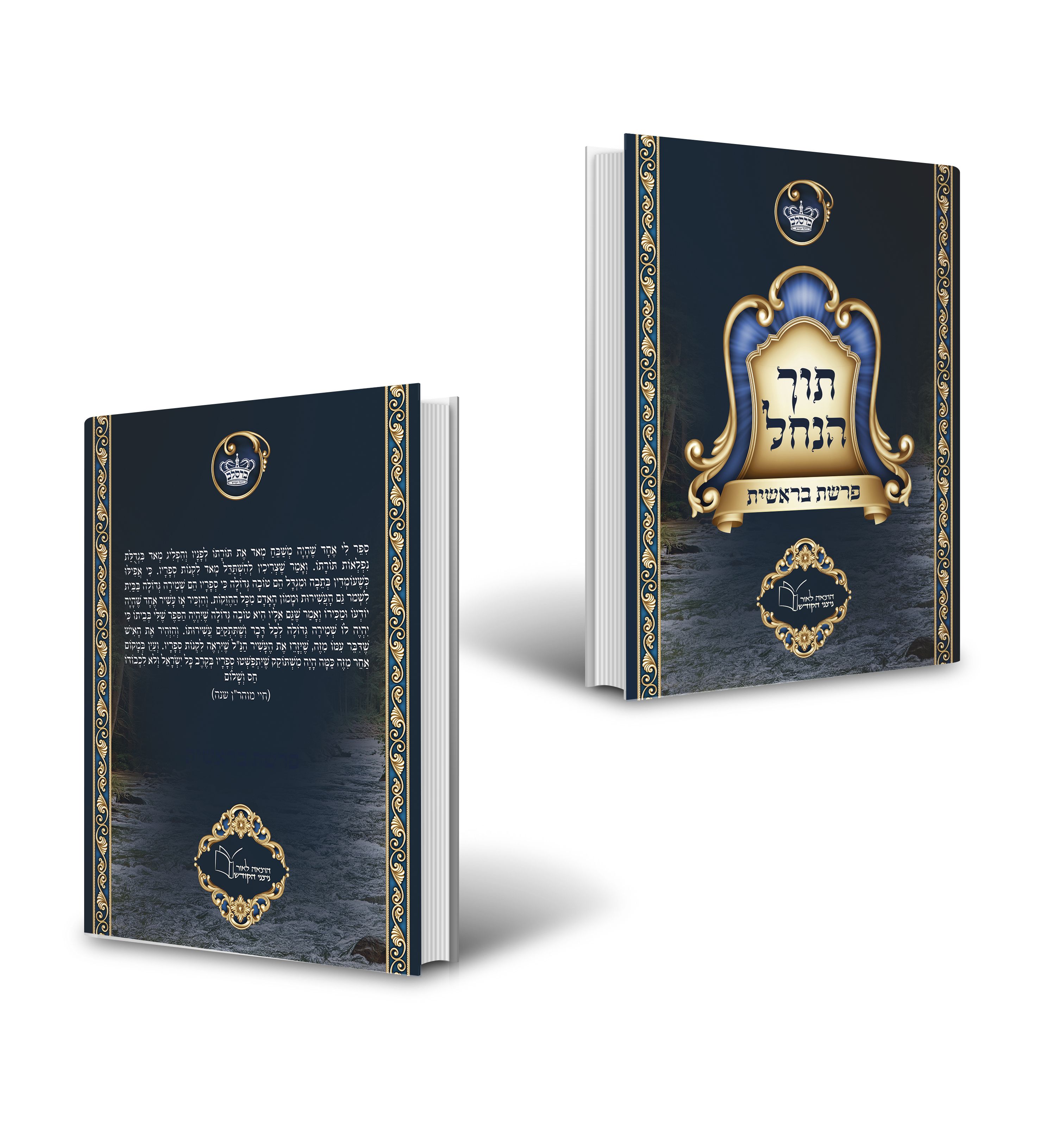 הדמיה של  הספר תוך הנחל.jpg