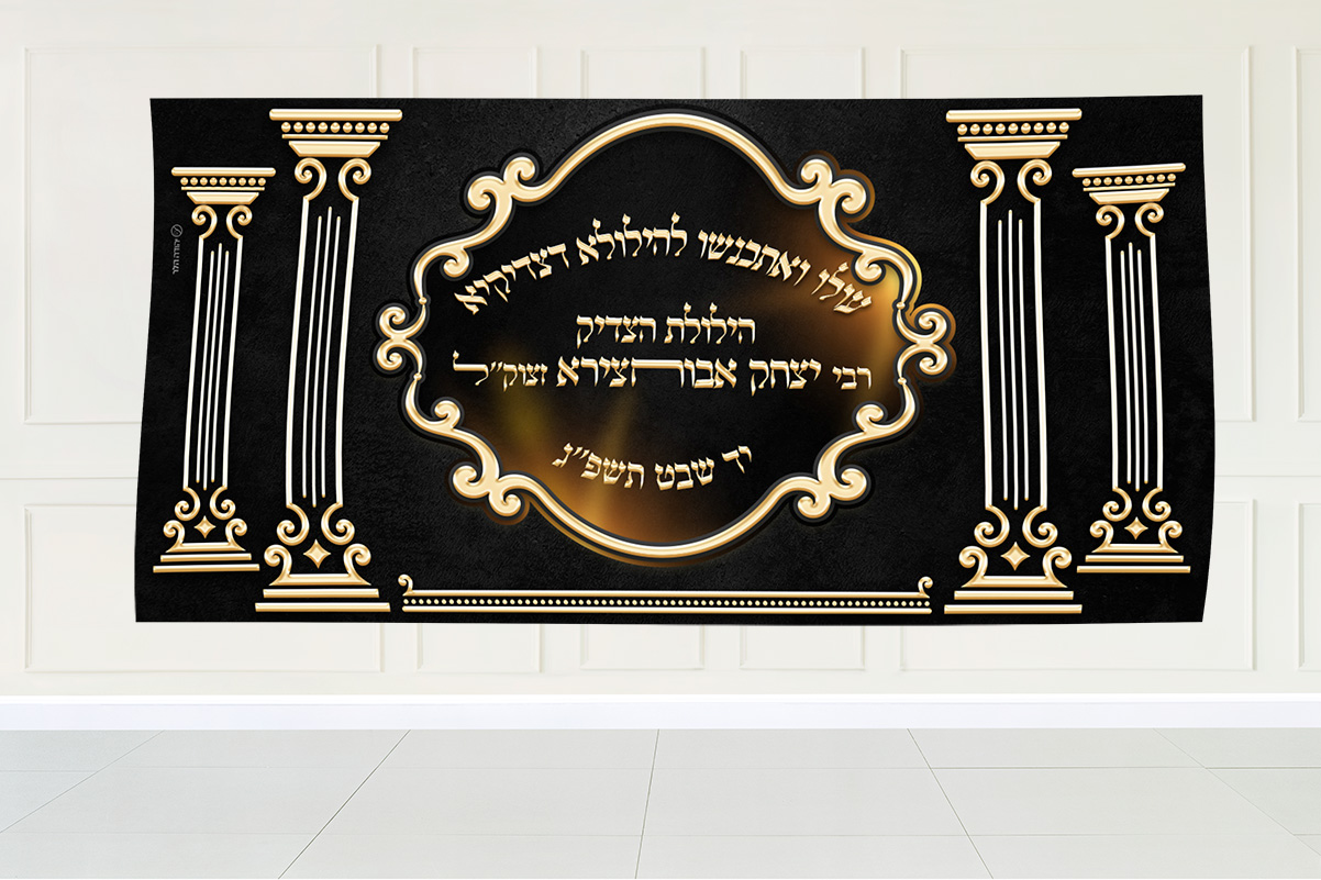 הדמיה שמשונית.jpg