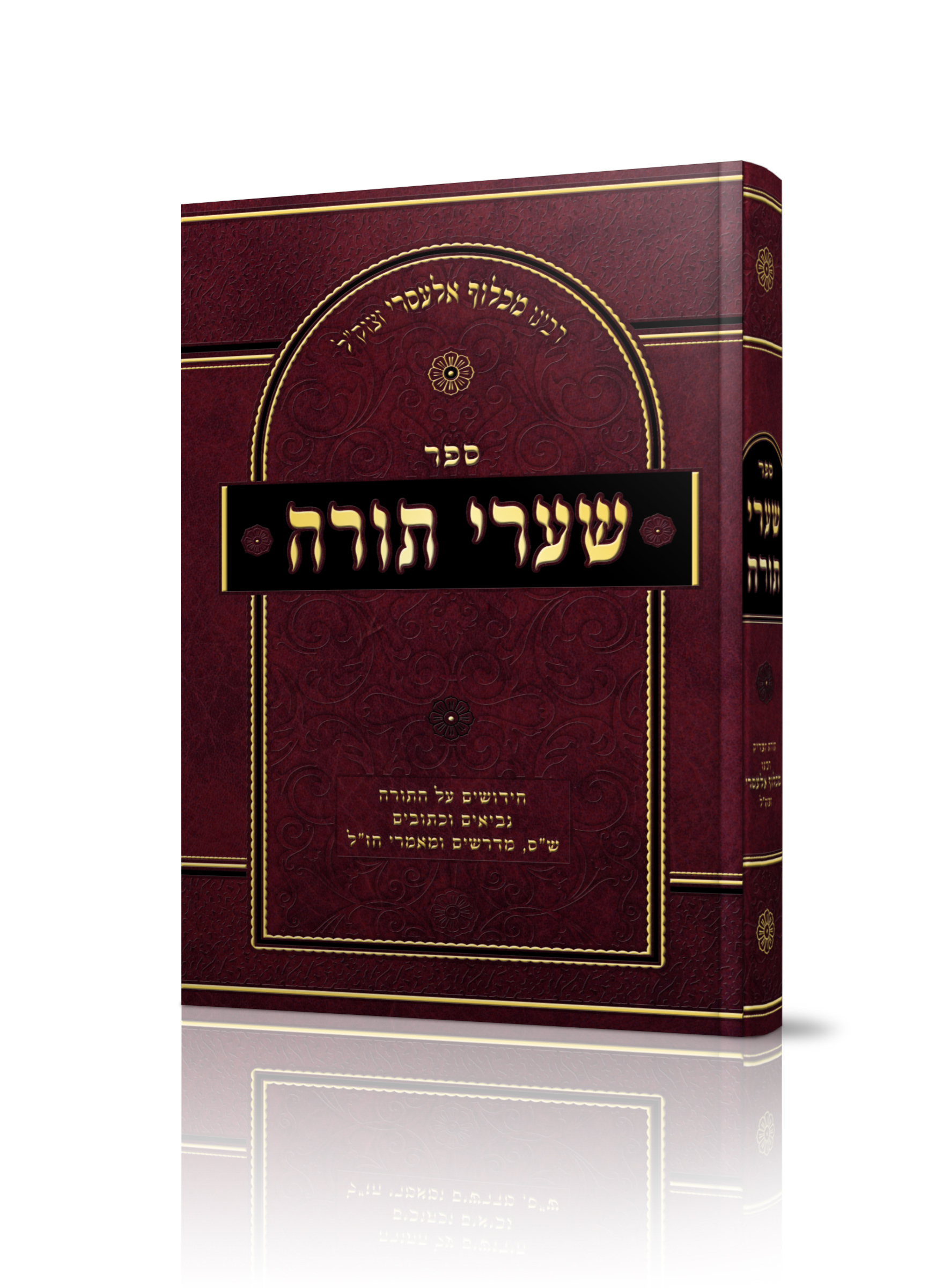 הדמיה שערי תורה.jpg