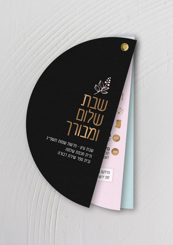 הדמיה תוכניה.jpg