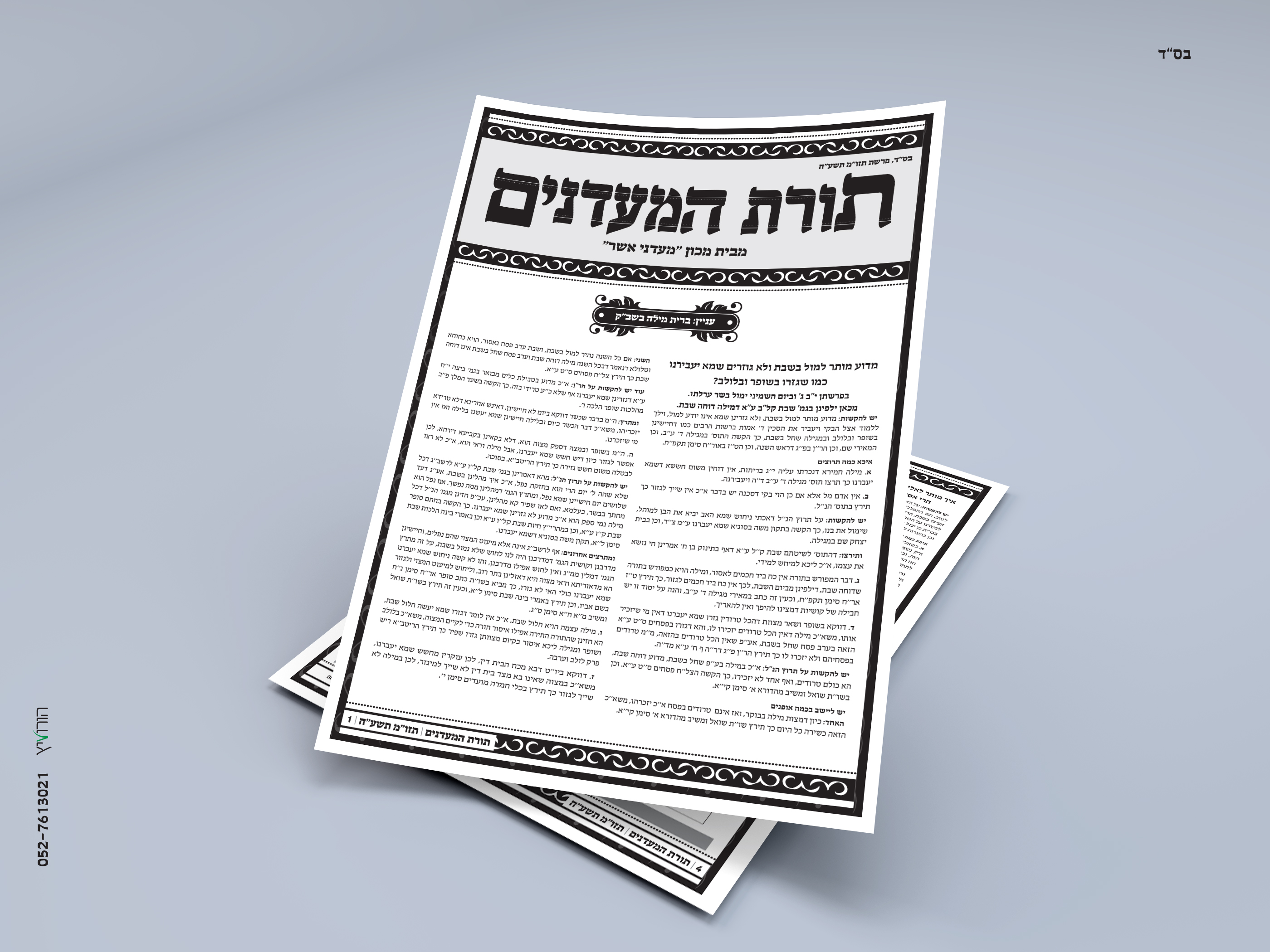 הדמיה תורת המעדנים.jpg