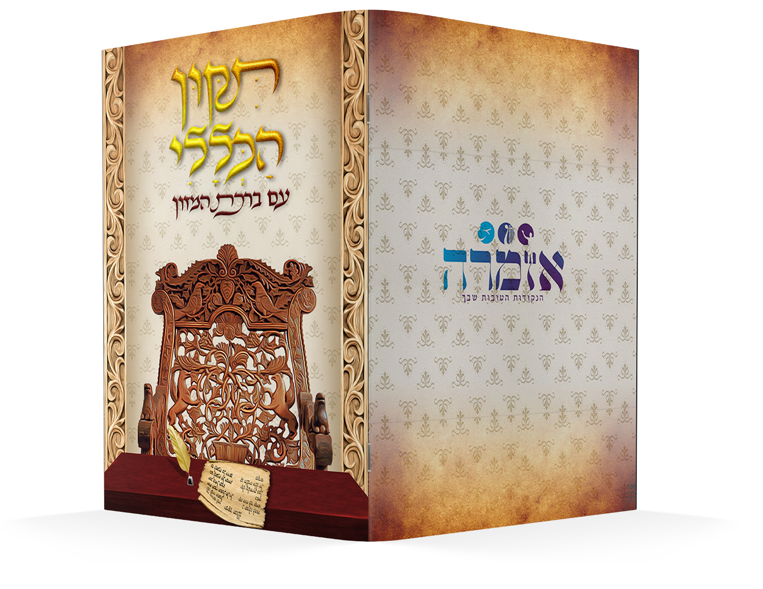 הדמיה תיקון הכללי כסא רבנו.jpg