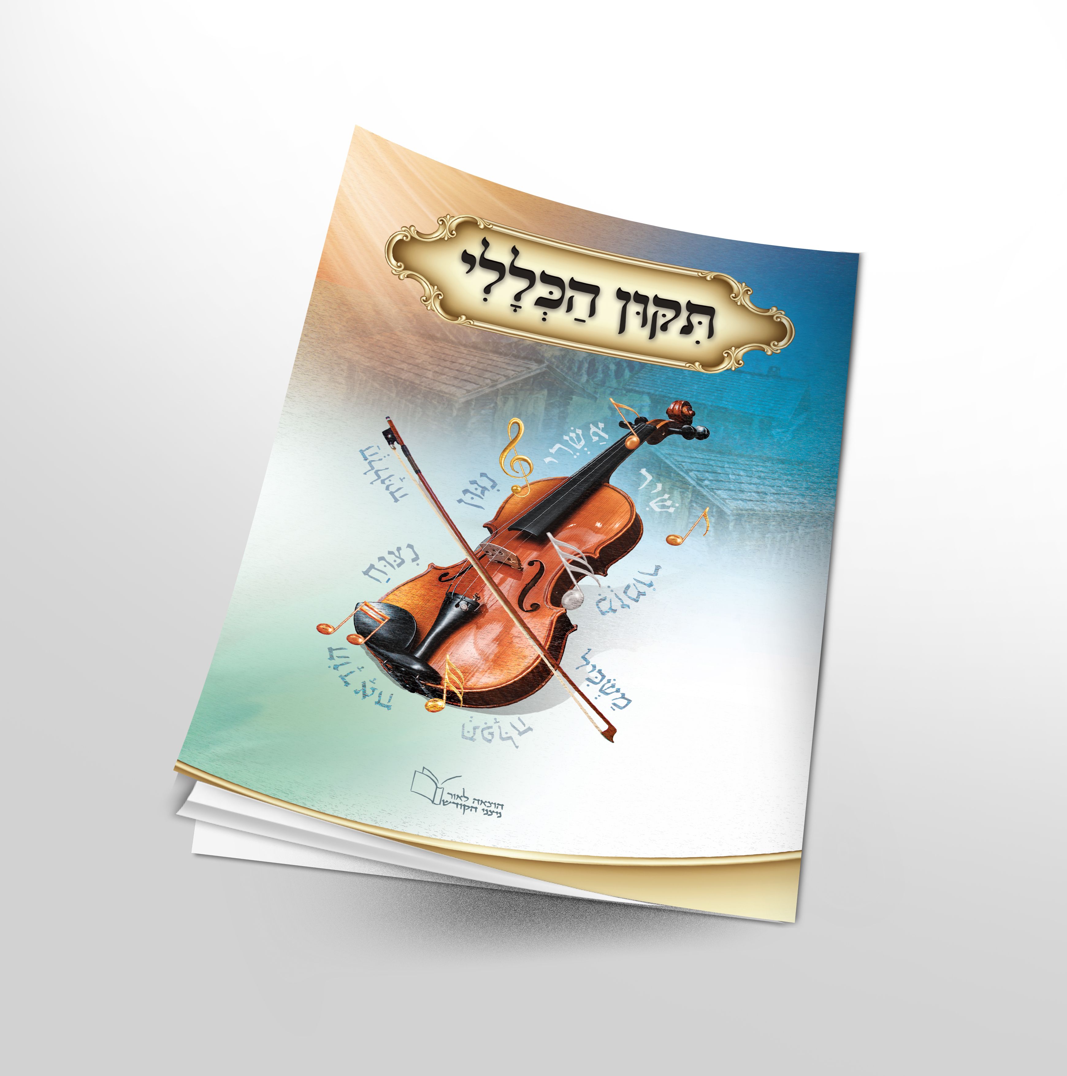 הדמיה תיקון הכללי copy.jpg