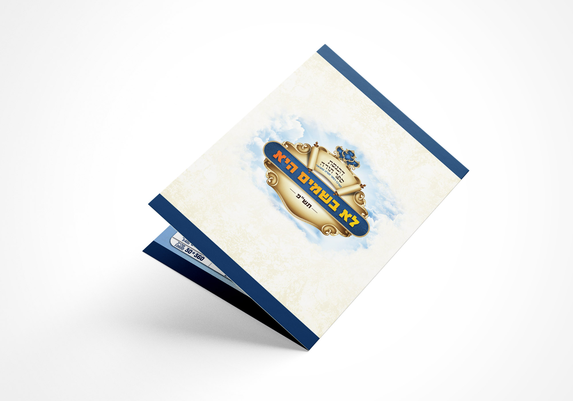 הדמיה 1 פרופסקט.jpg