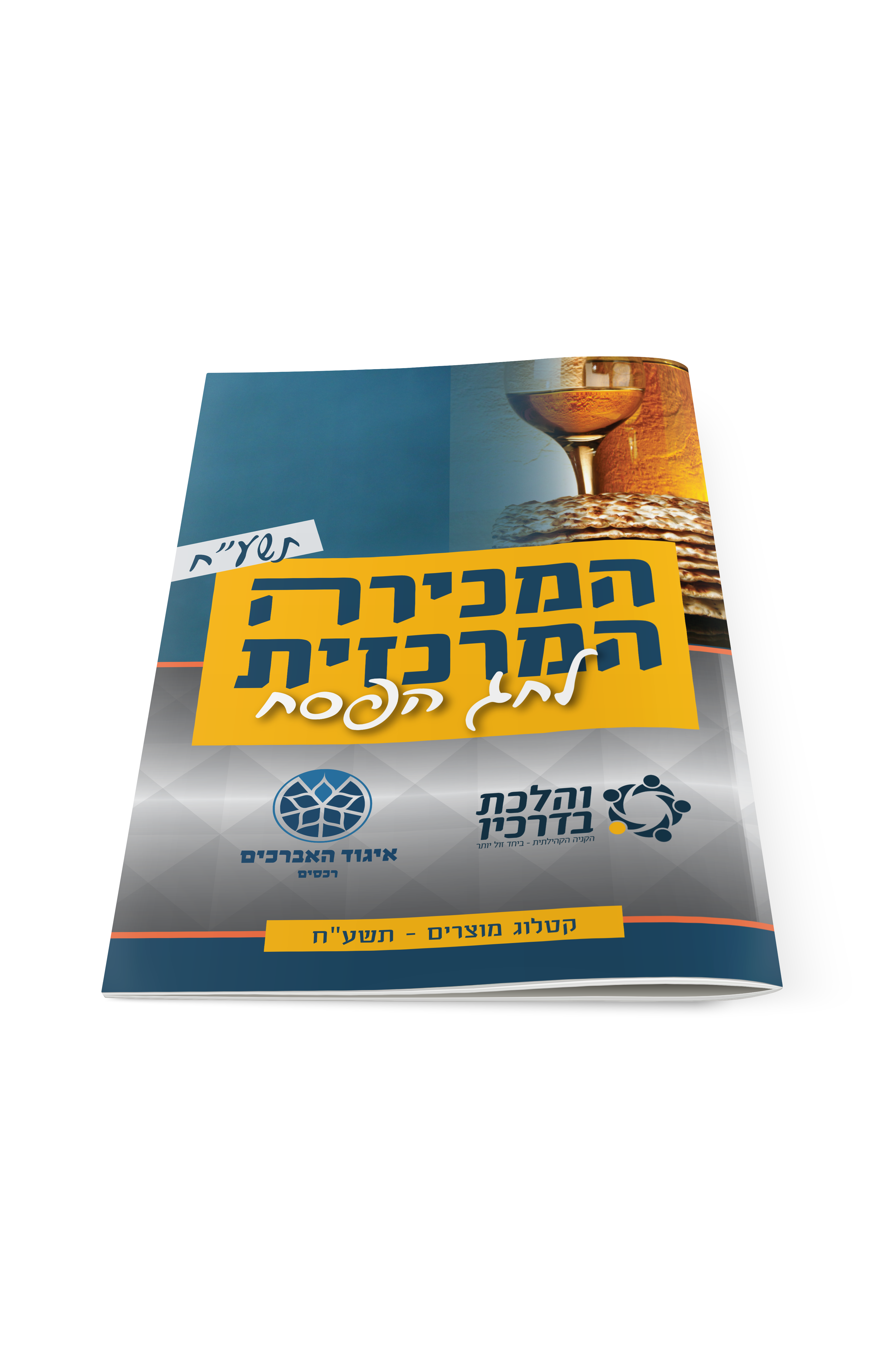 הדמיה 1.png
