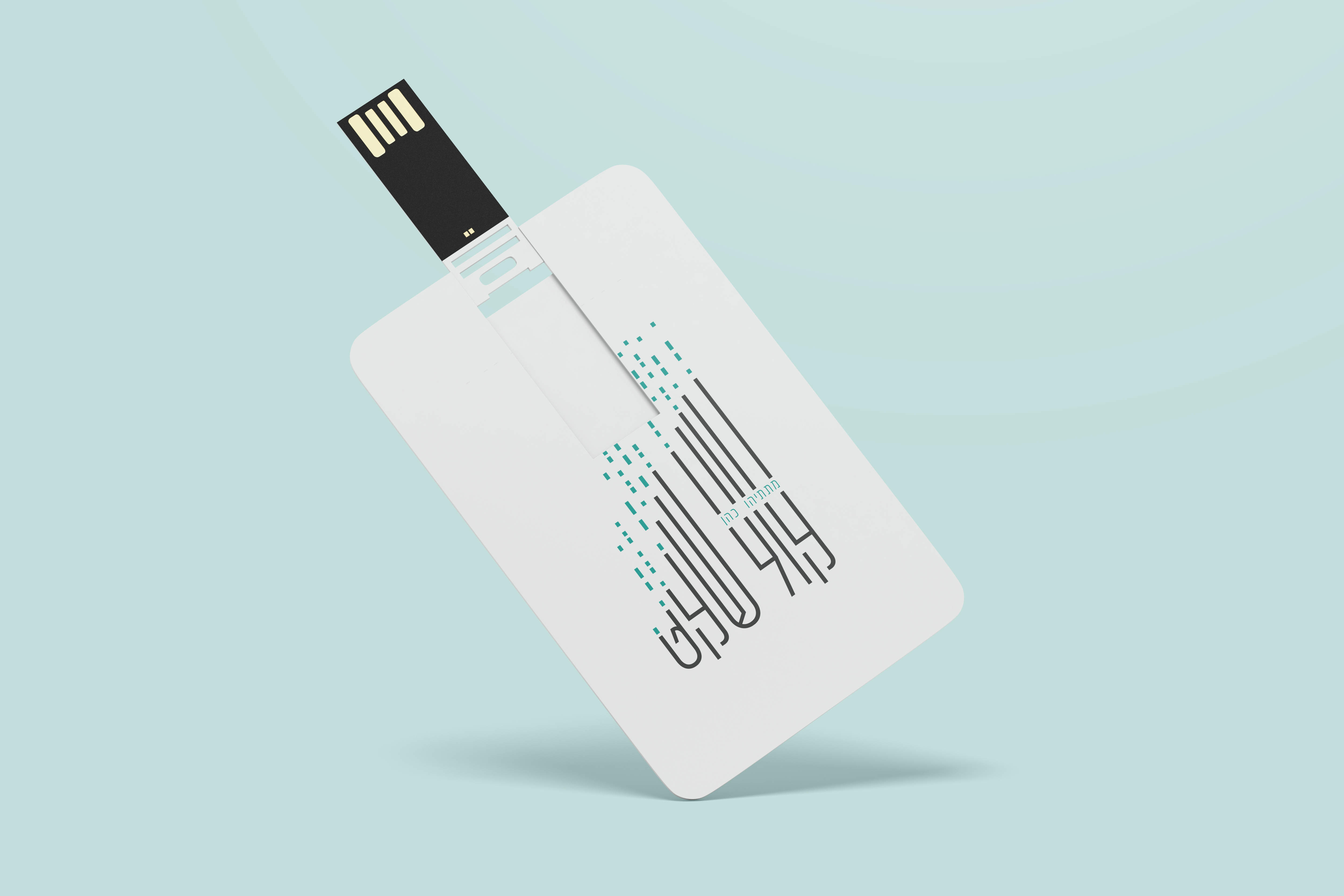 הדמיה 1 usb.jpg