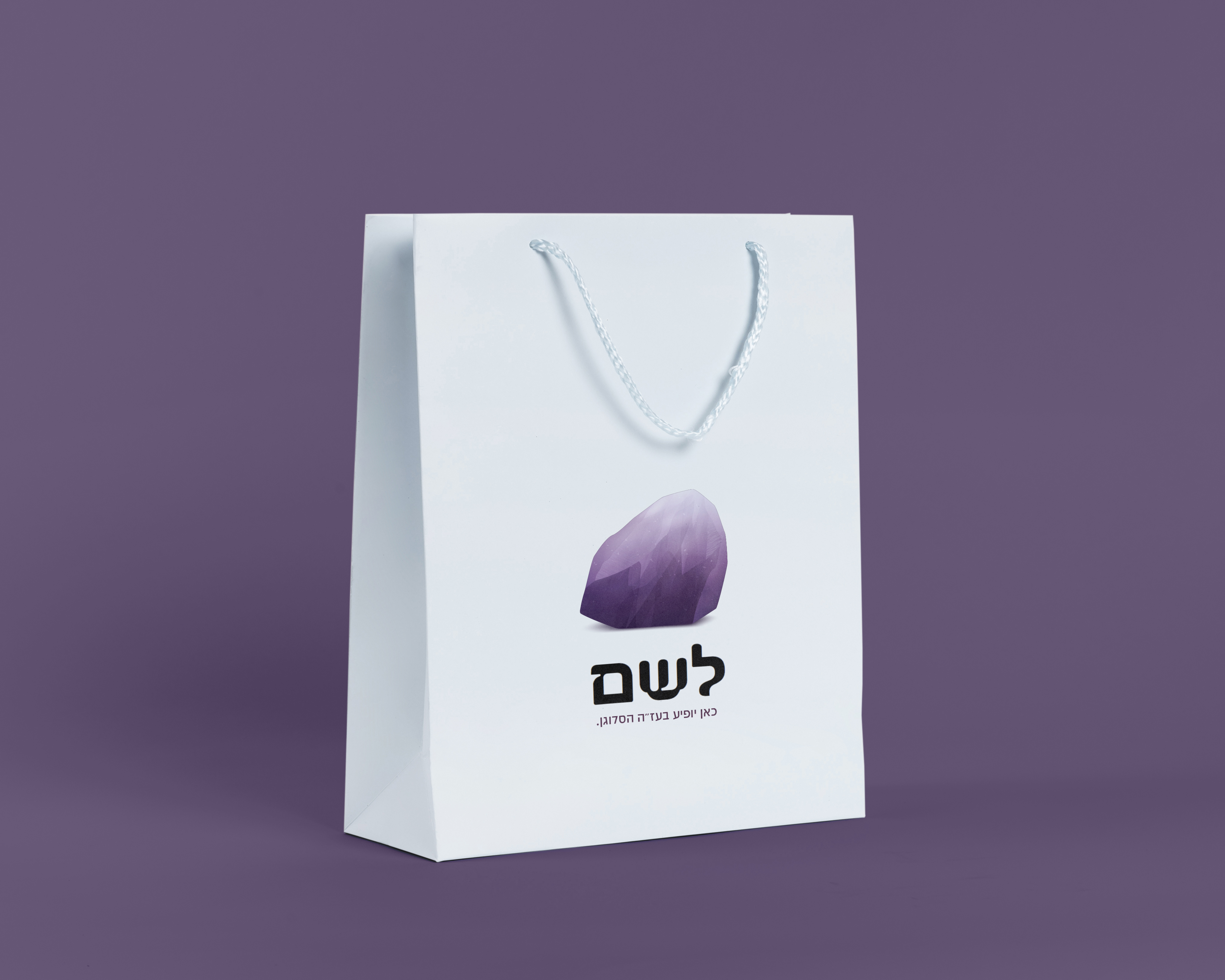 הדמיה 2 סגול.jpg