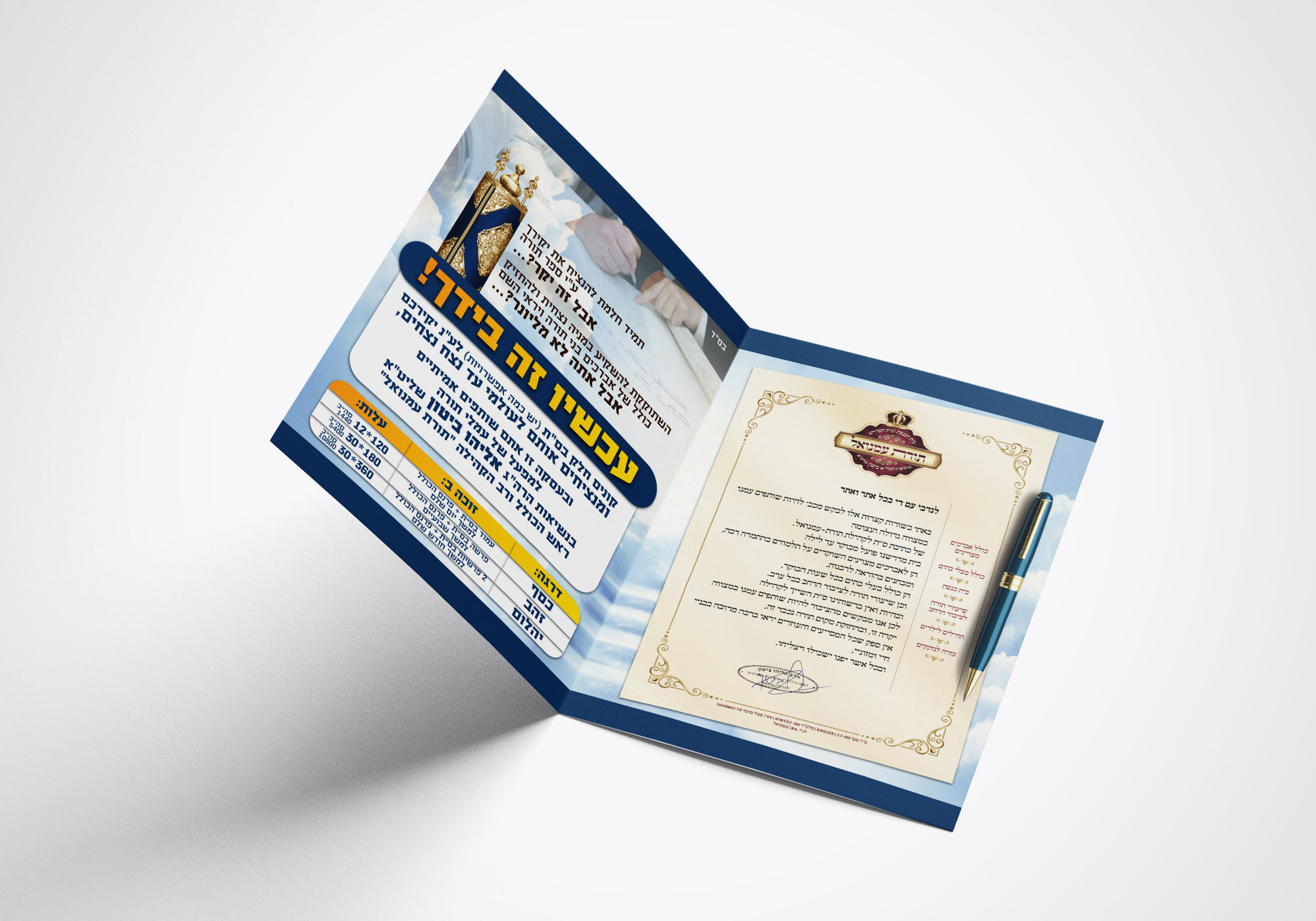 הדמיה 2 פרופסקט.jpg