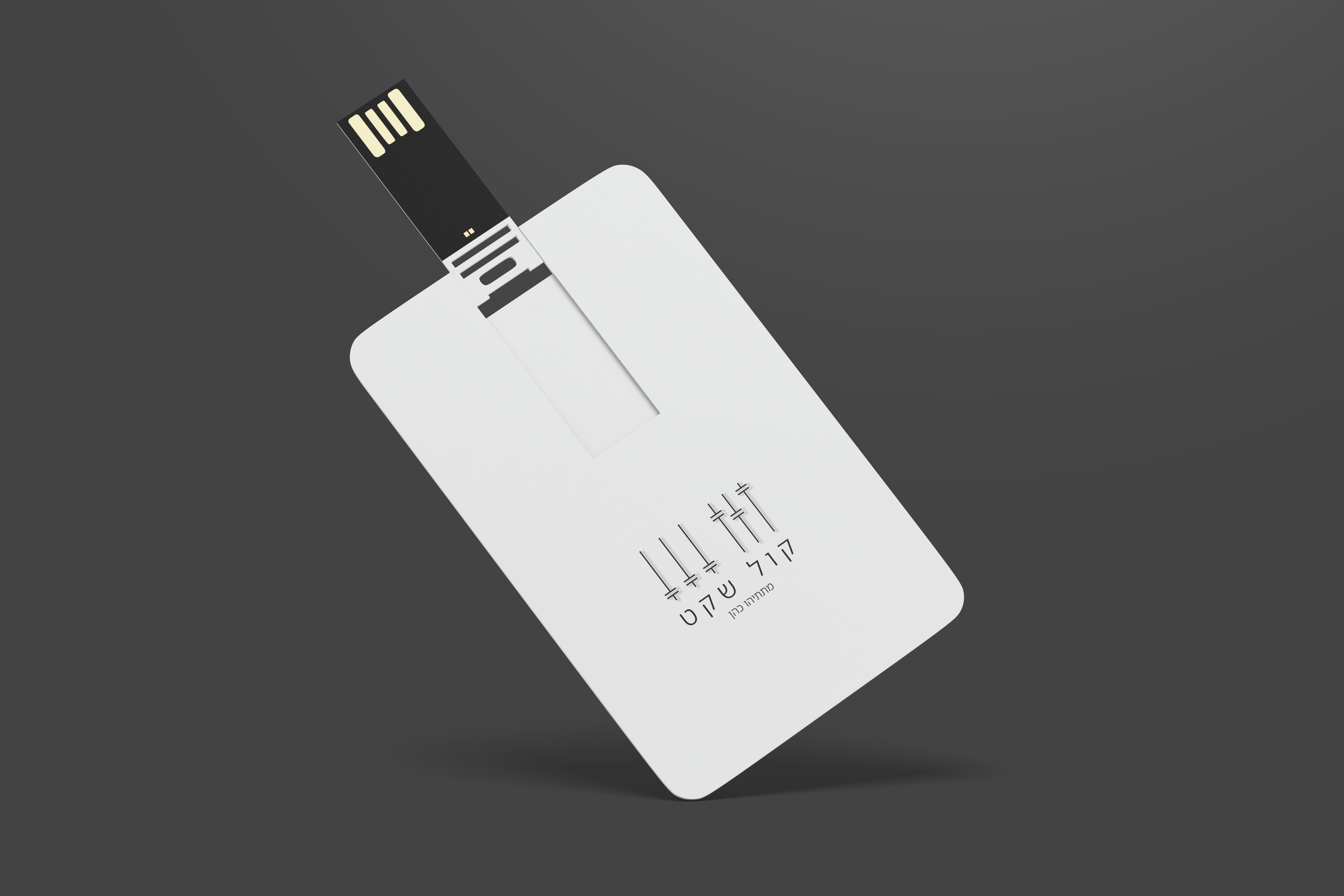 הדמיה 2 usb.jpg