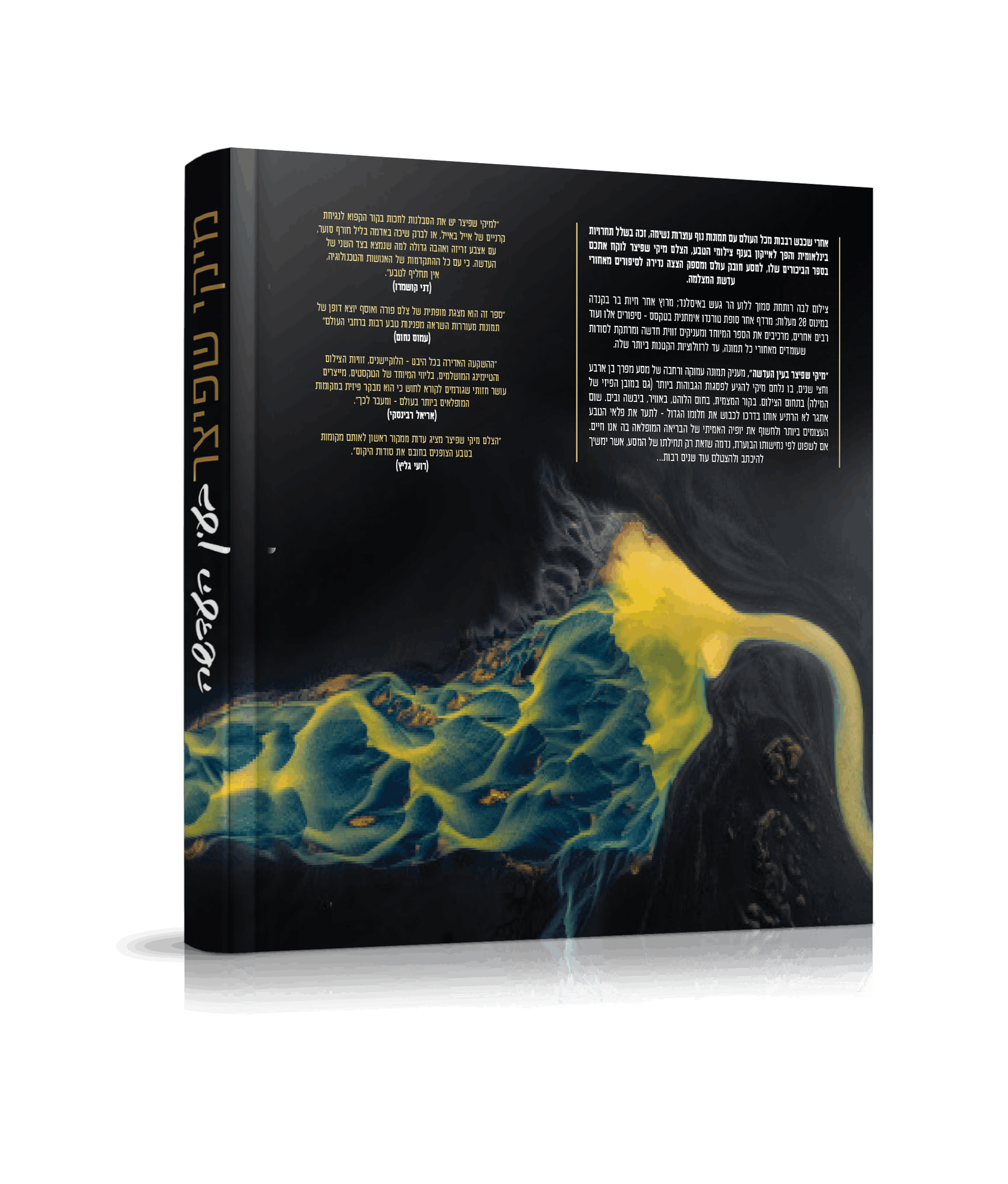 הדמיה-2B (1).png