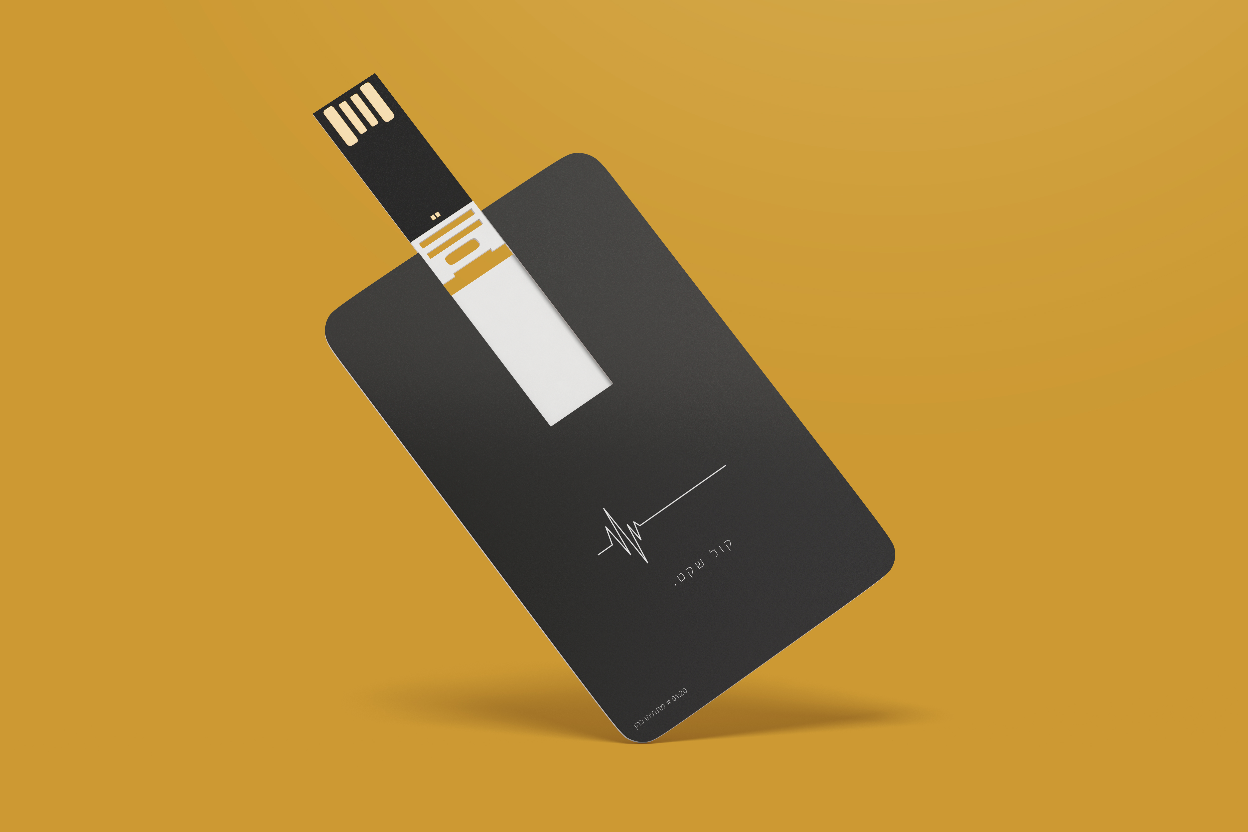 הדמיה 3 usb.jpg