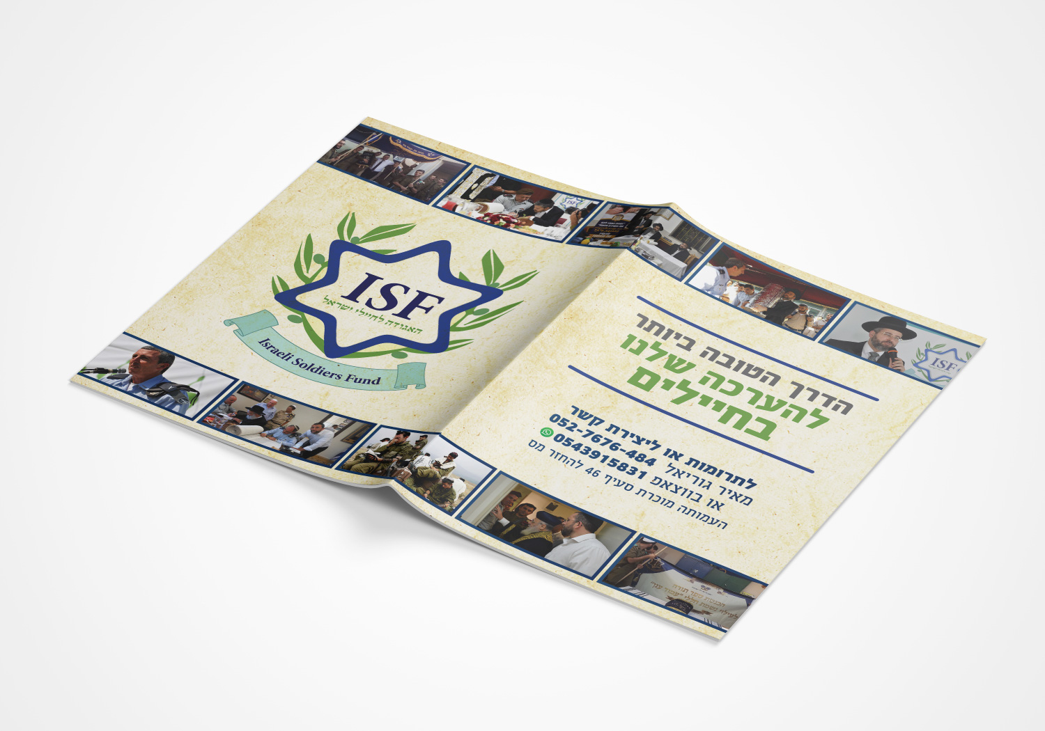 הדמיה ISF 1.jpg.jpg