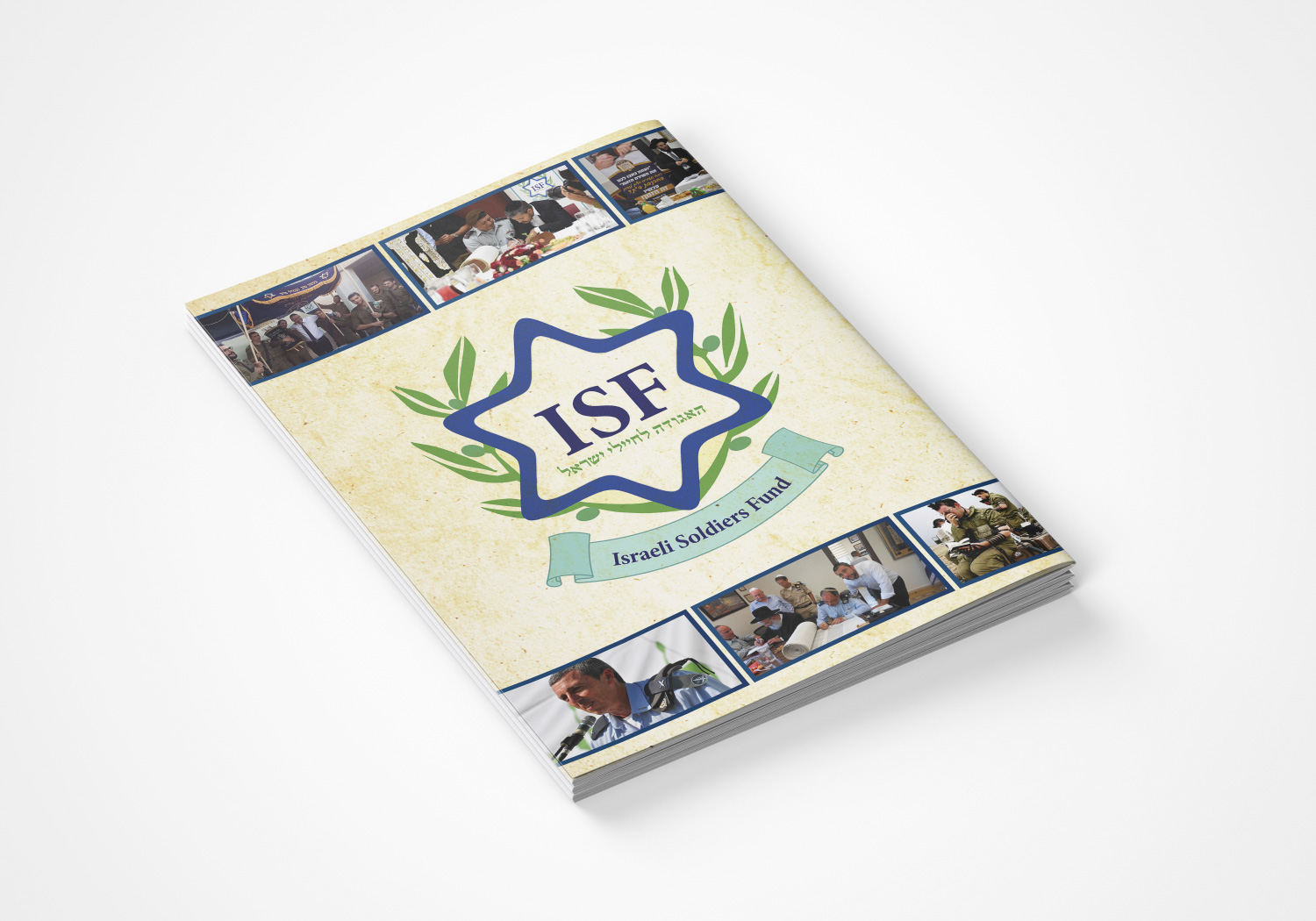 הדמיה ISF3.jpg.jpg