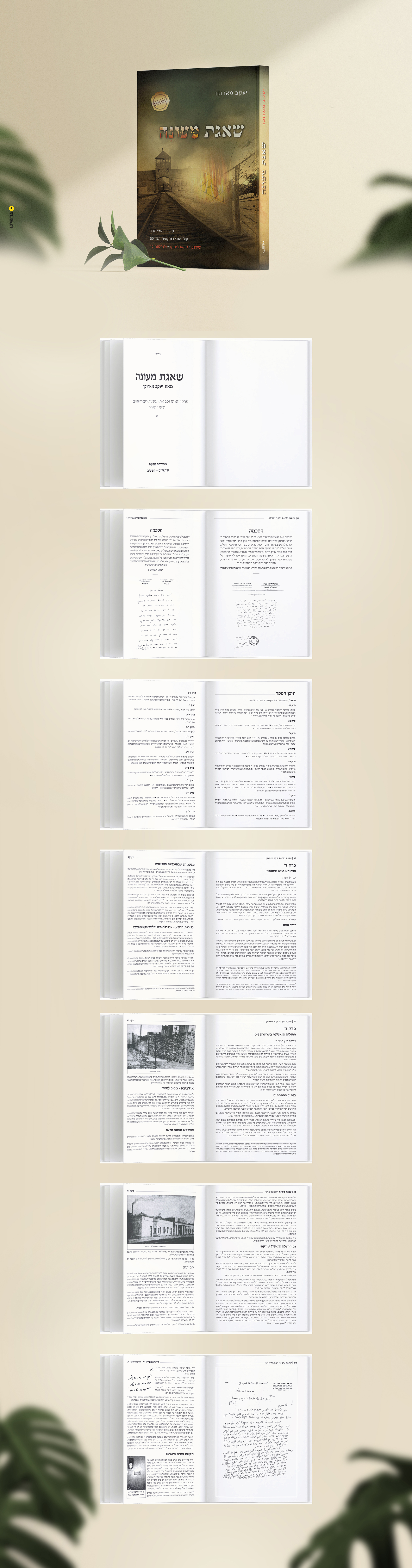 הדמיות כל הספר מוקטן.jpg