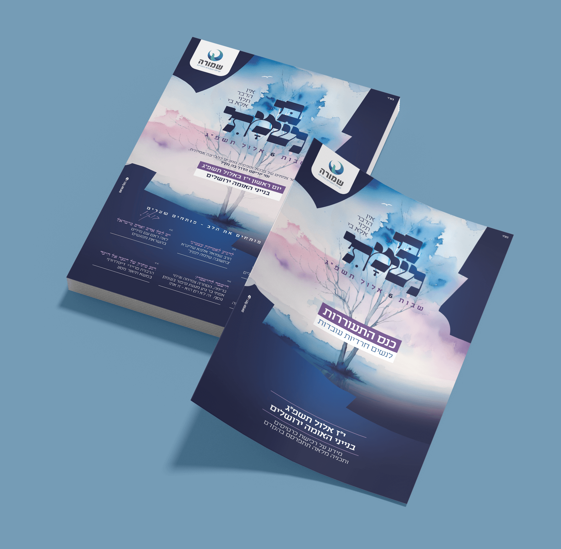 הדמיות שמורה.png