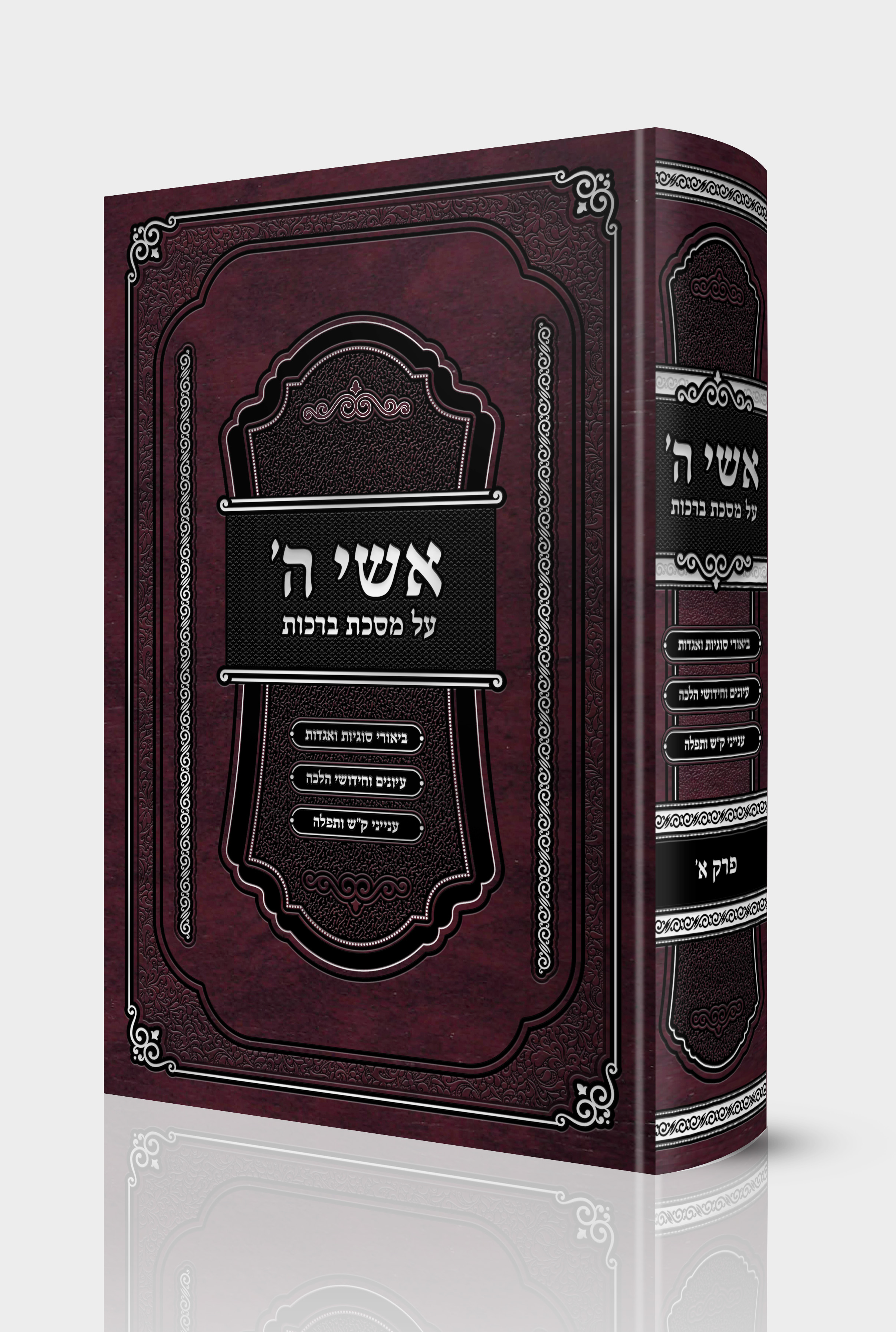 הדמייה אשי ד.jpg