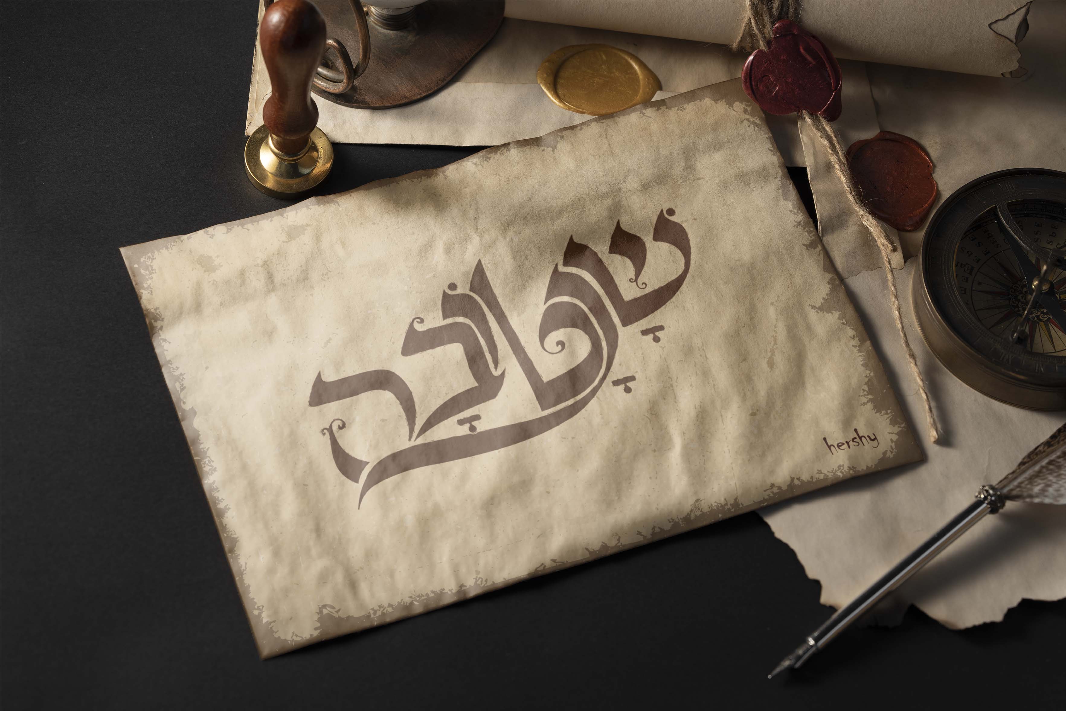 הדמייה גלויה.jpg