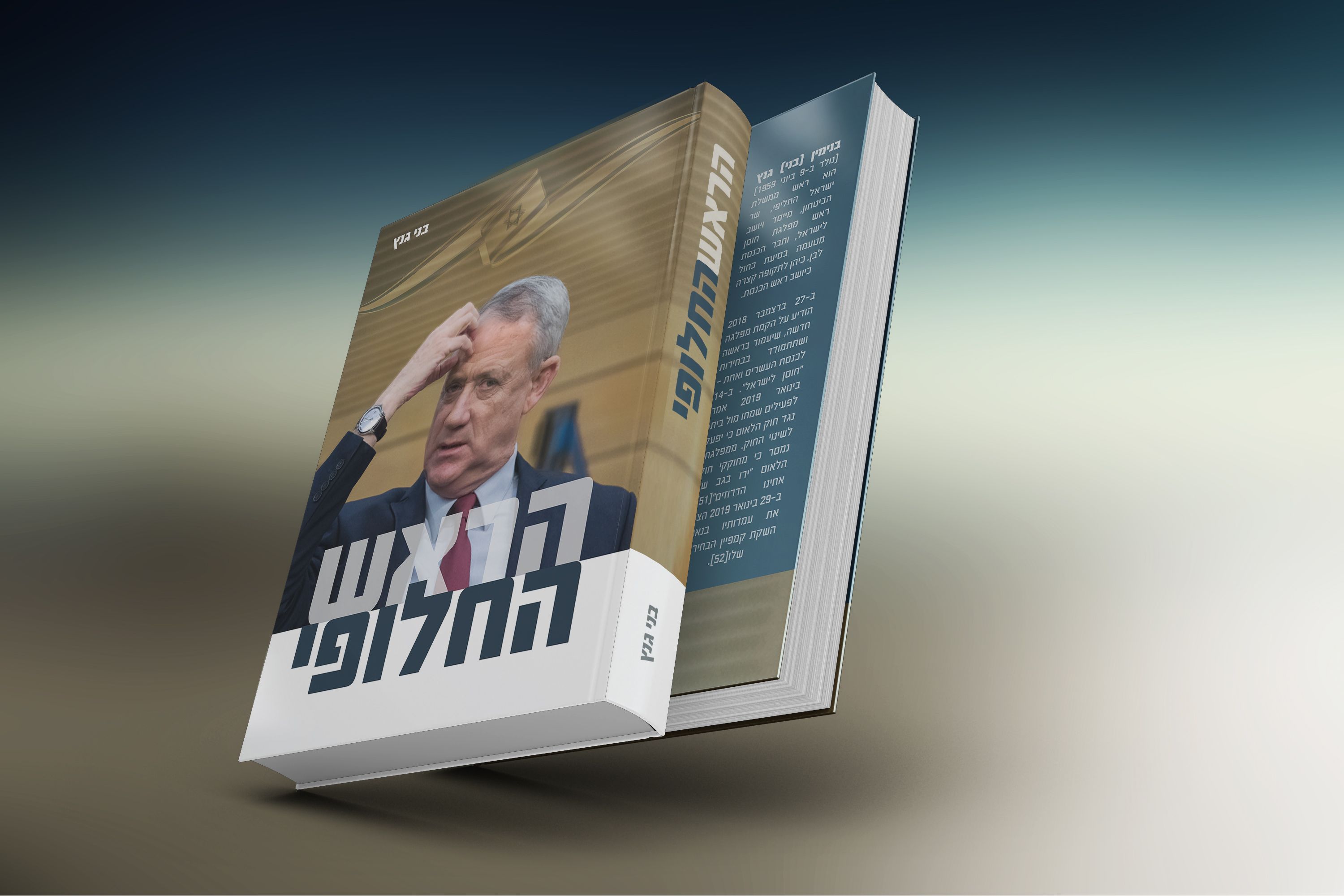 הדמייה גנץ.jpg