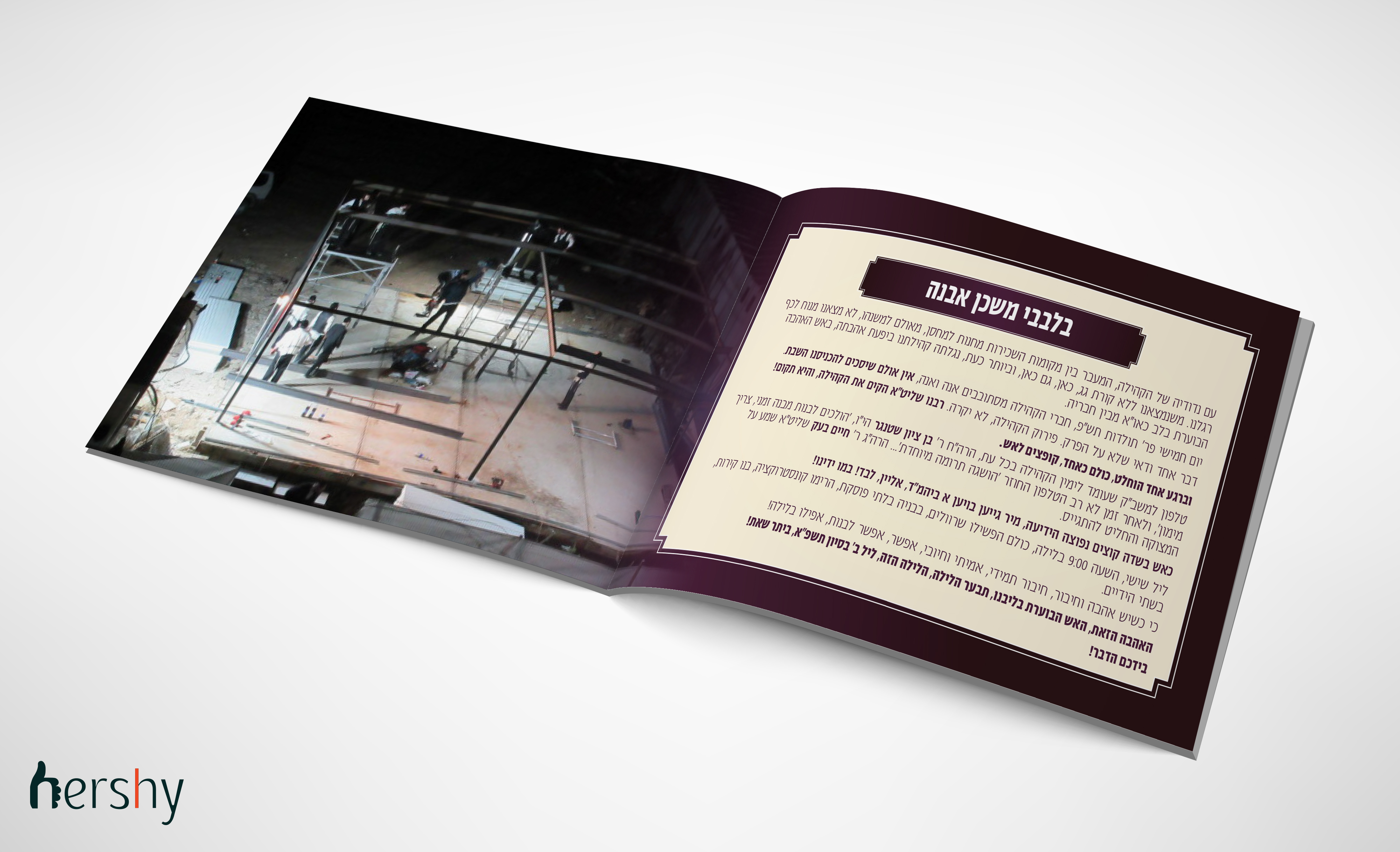 הדמייה היסטוריה פנים.jpg