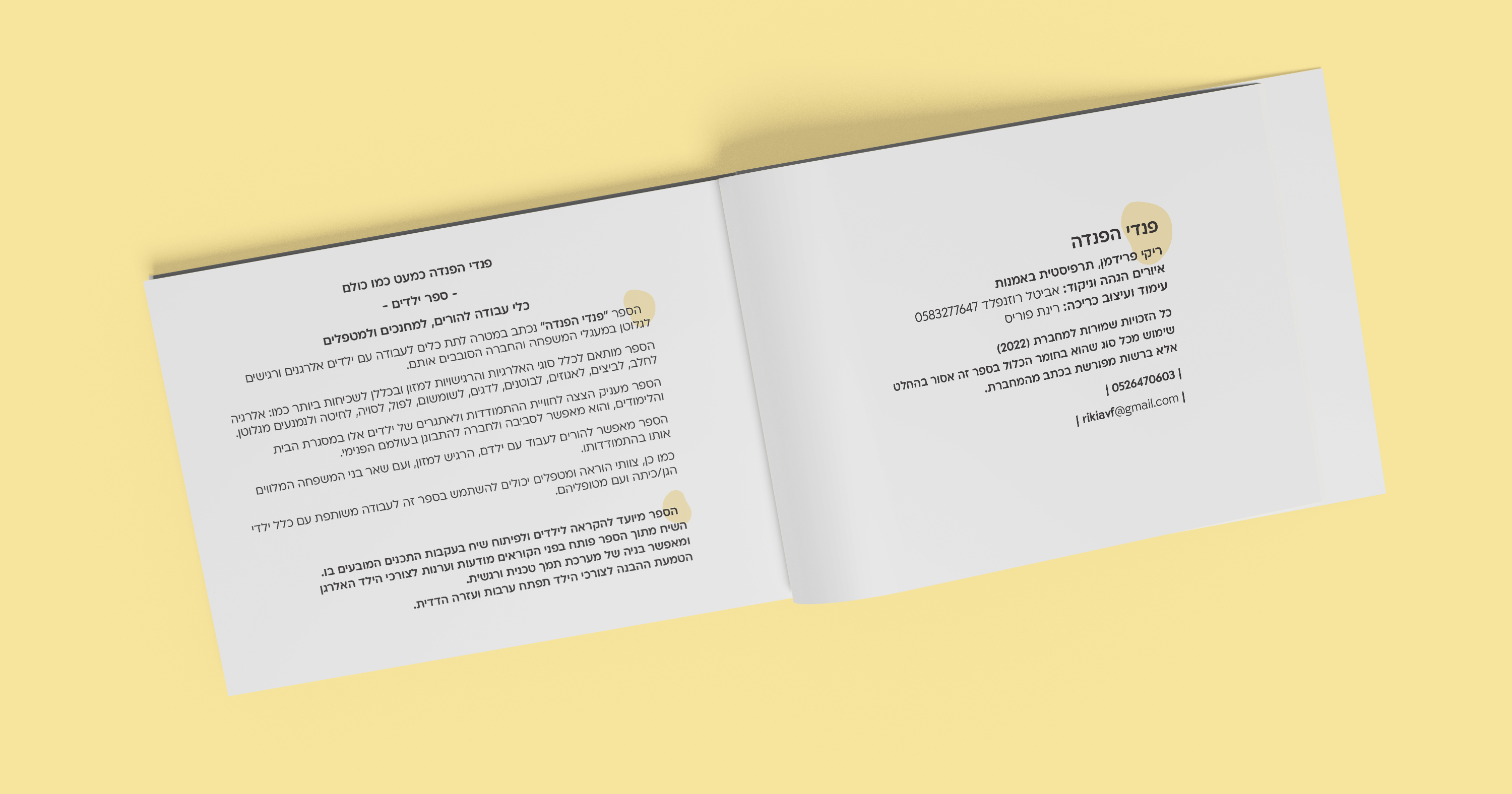 הדמייה  הקדמה.jpg