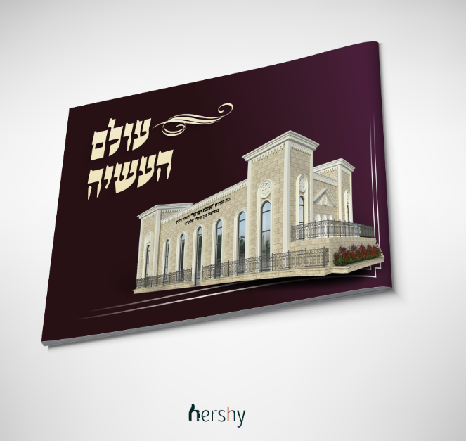 הדמייה חוברת היסטוריה.PNG